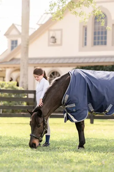 Horseware Ireland Rhino Pony Turnout Rug 250G Vl - Image 9