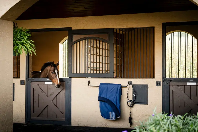 Horseware Ireland Rhino Stable Rug 100G Navy / Titanium Grey & Classic Blue - Image 5