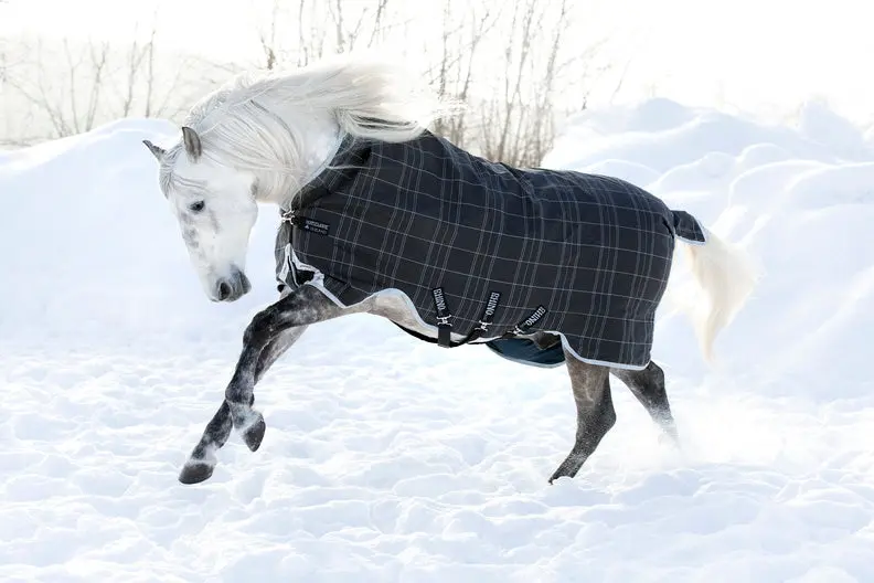 Horseware Ireland Rhino Wug Turnout Rug 450G Vl Blk / Grey / White Chk & Gray - Image 9