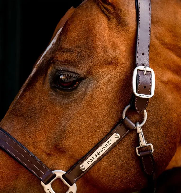 Horseware Ireland Signature Leather Headcollar - Image 5