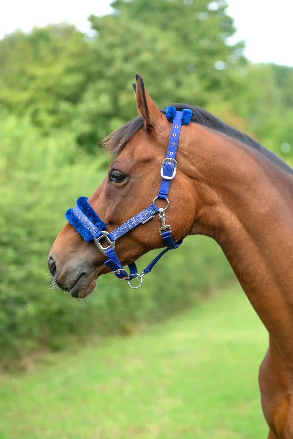 Hy Equestrian Dazzle Head Collar - Image 2