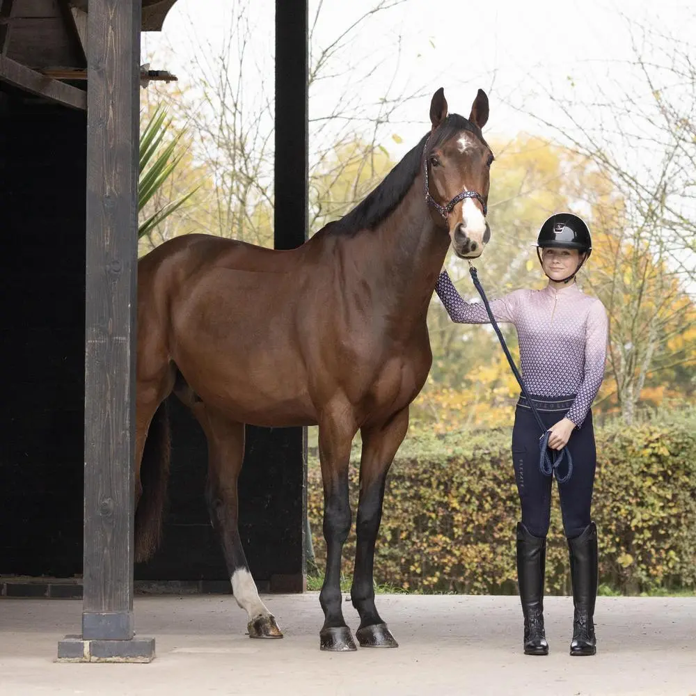 Hy Equestrian Elevate Allure Mizs Riding Tights - Image 6