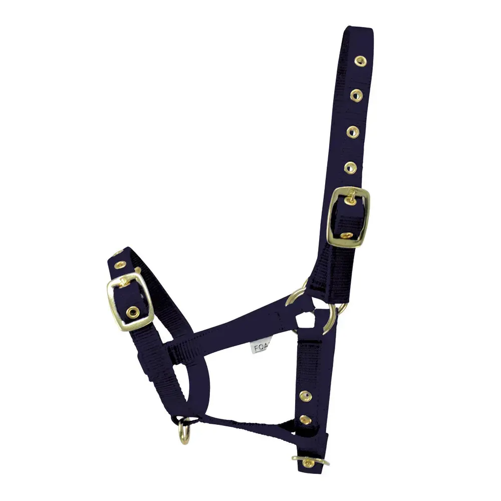 Hy Equestrian Foal Head Collar