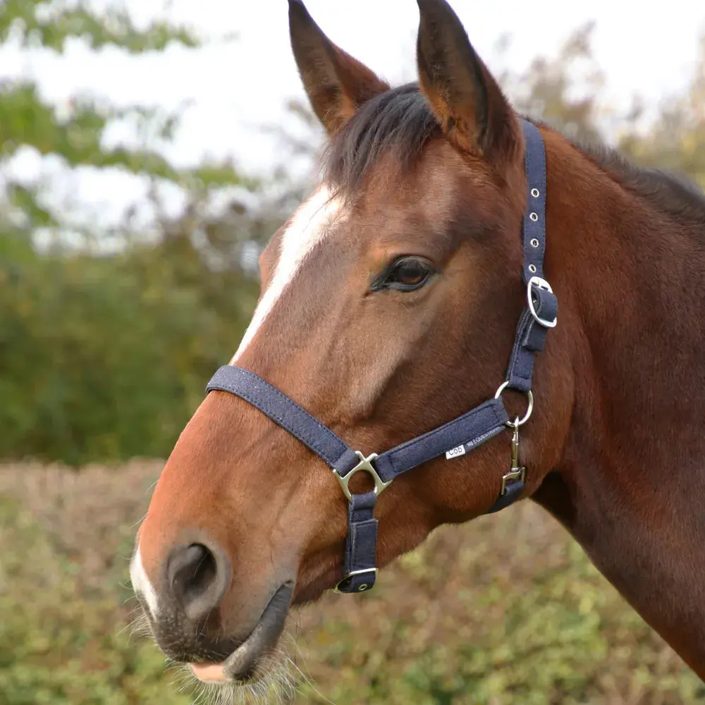 Hy Equestrian Glitzy Headcollar - Image 2