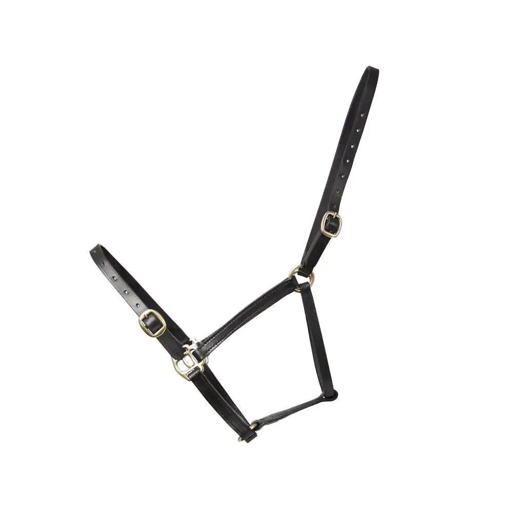 Hy Equestrian Leather Foal Head Collar - Image 2