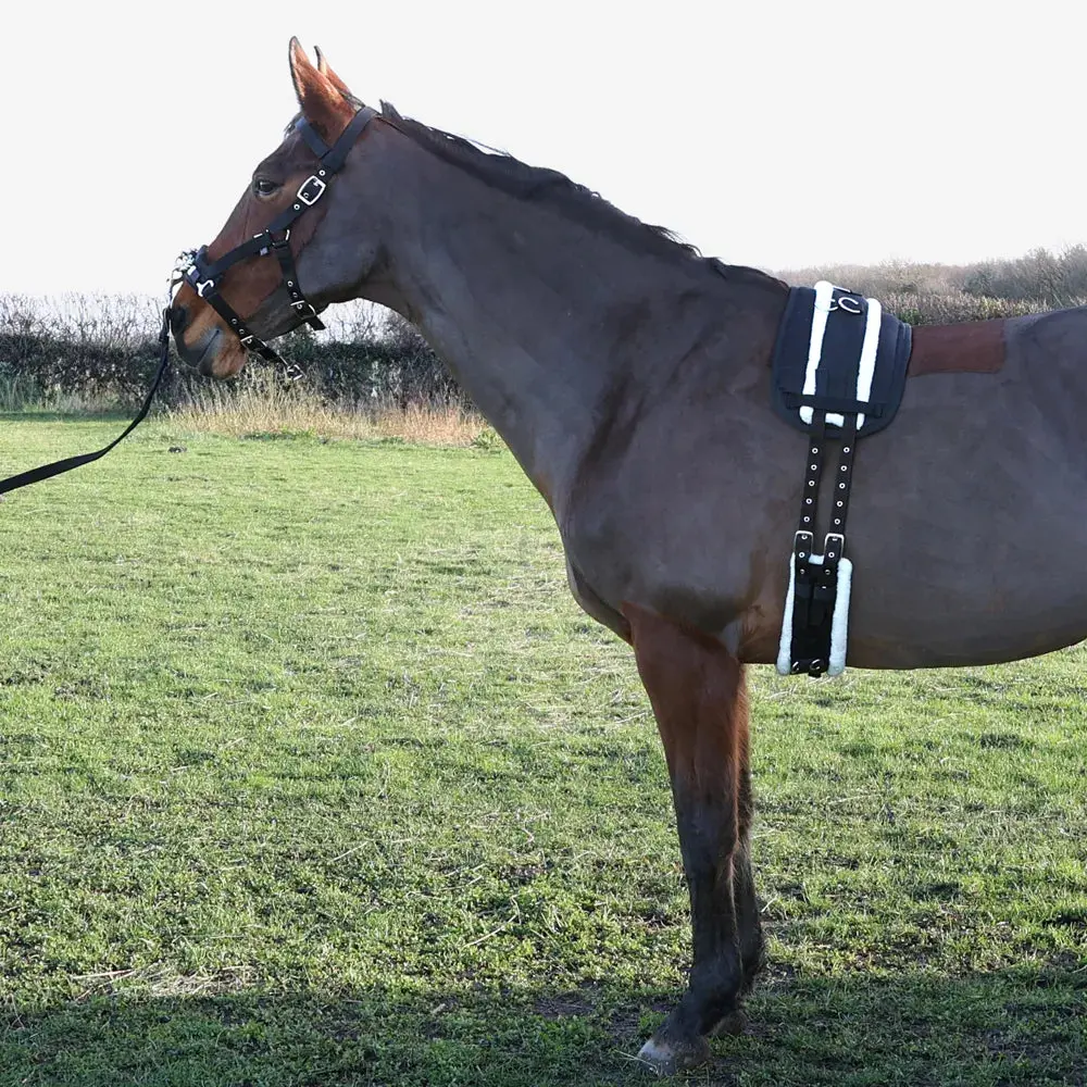 Hy Equestrian Lunge Roller Pad - Image 3