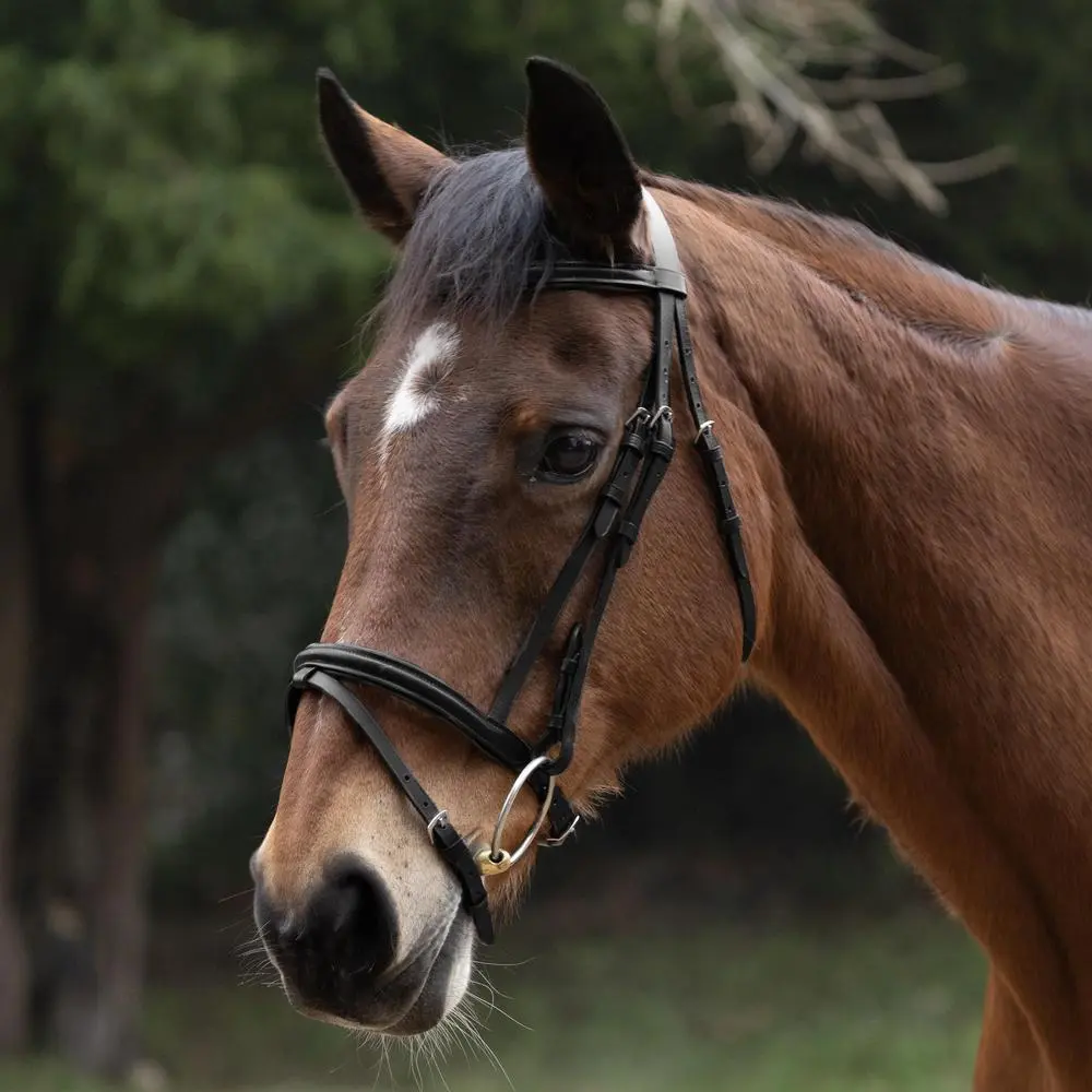 Hy Equestrian Padded Flash Bridle with Rubber Grip Reins - Image 2