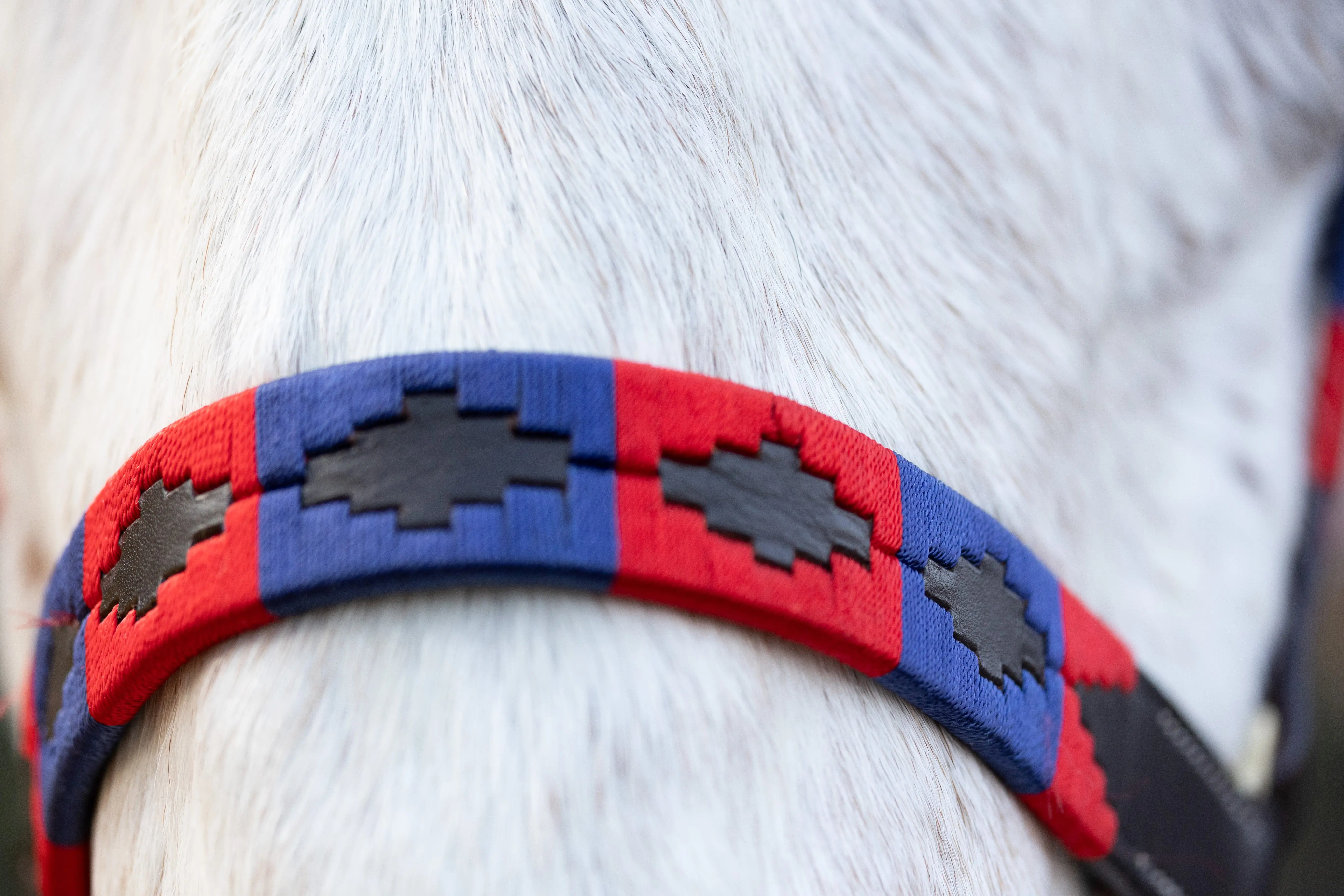 Hy Equestrian Polo Leather Head Collar - Image 5