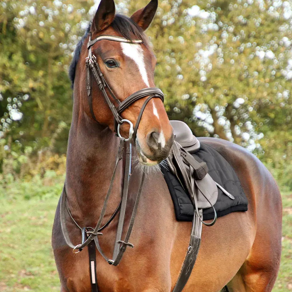 Hy Equestrian Rosciano Rose Gold Bridle - Image 5