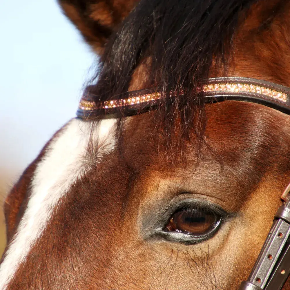 Hy Equestrian Rosciano Rose Gold Browband - Image 4