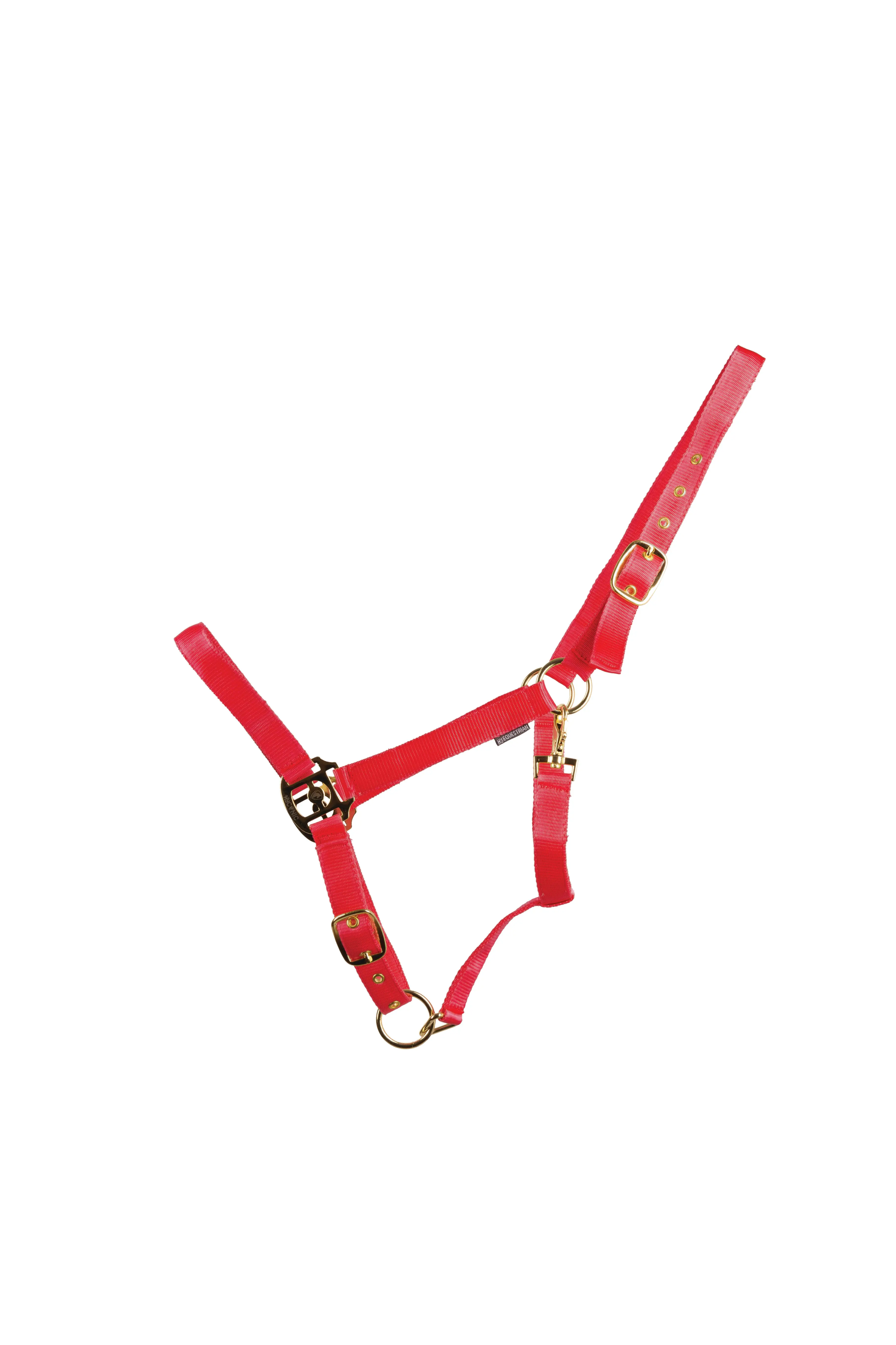 HyCONIC Head Collar - Image 2