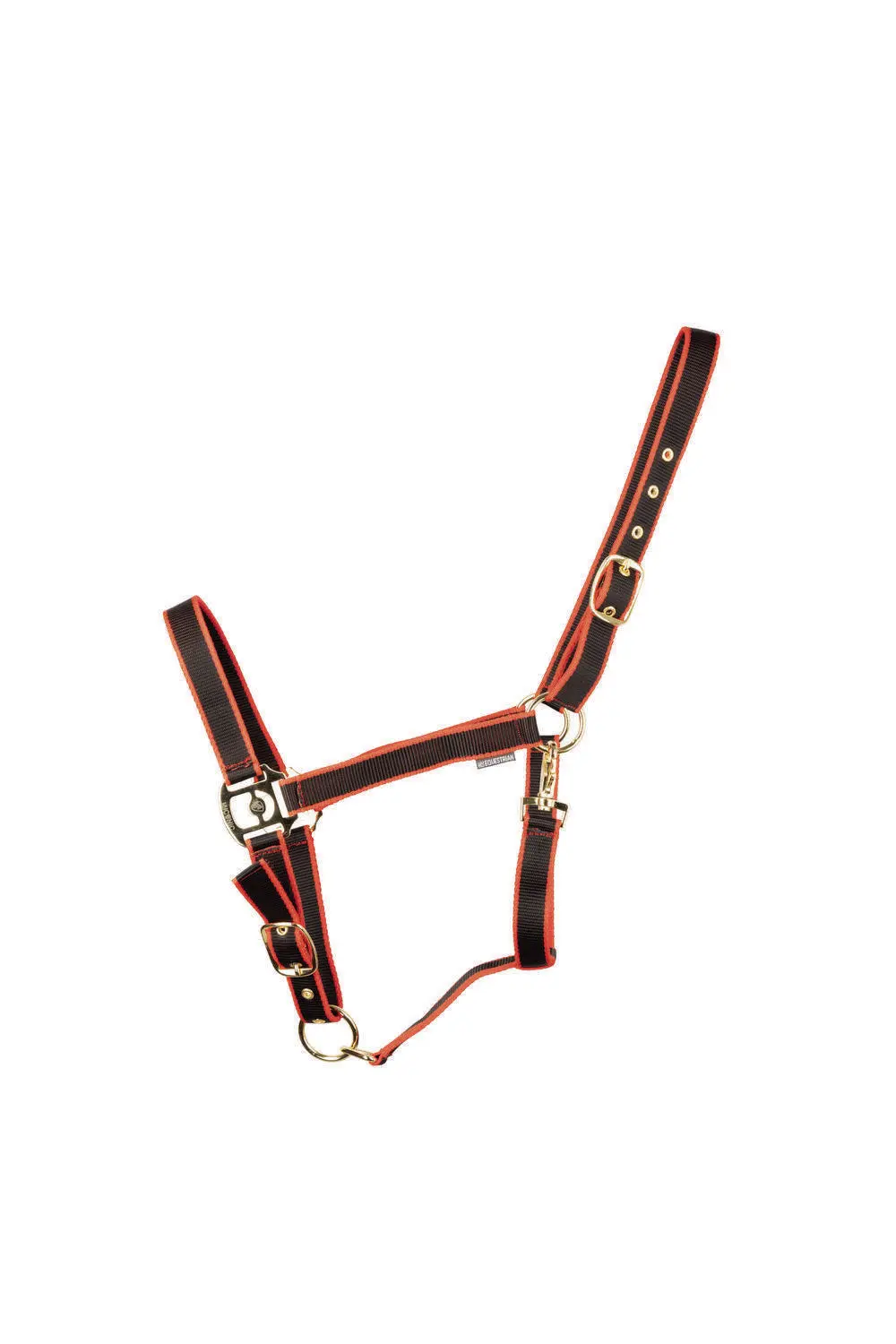 HyCONIC Head Collar - Image 4