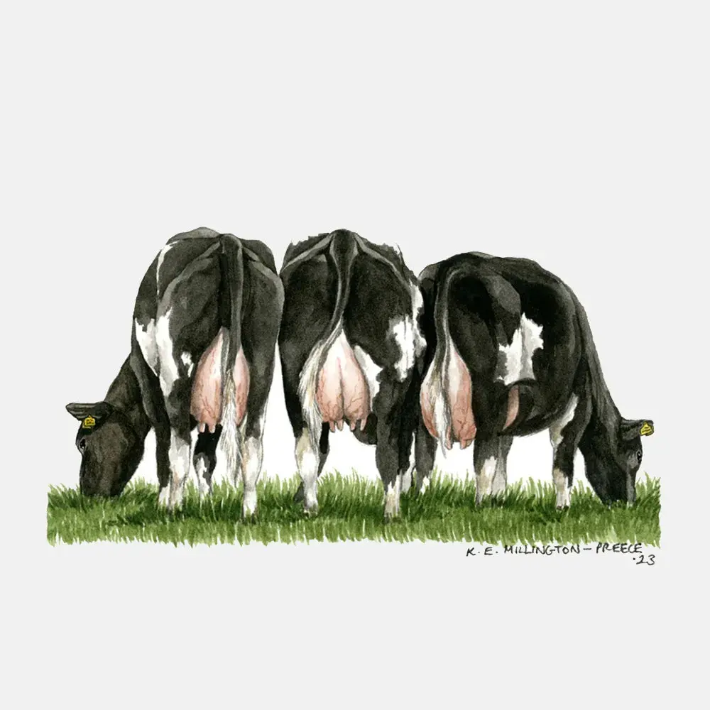 Kevin Milner Countryside Cards - Image 21