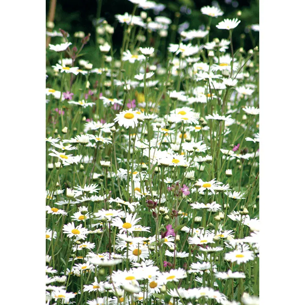 Kevin Milner Countryside Cards - Image 65