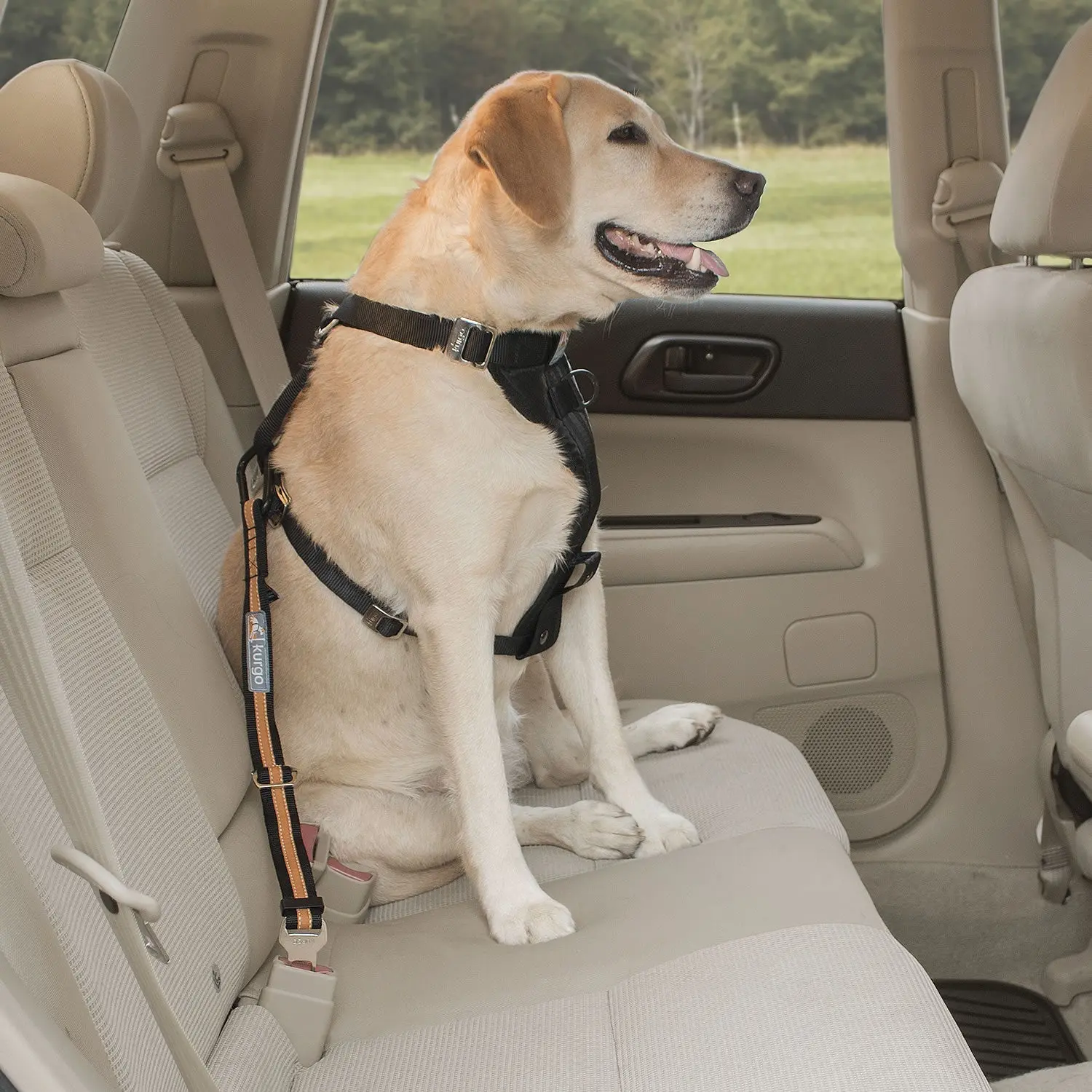 Kurgo Direct To Seatbelt Tether