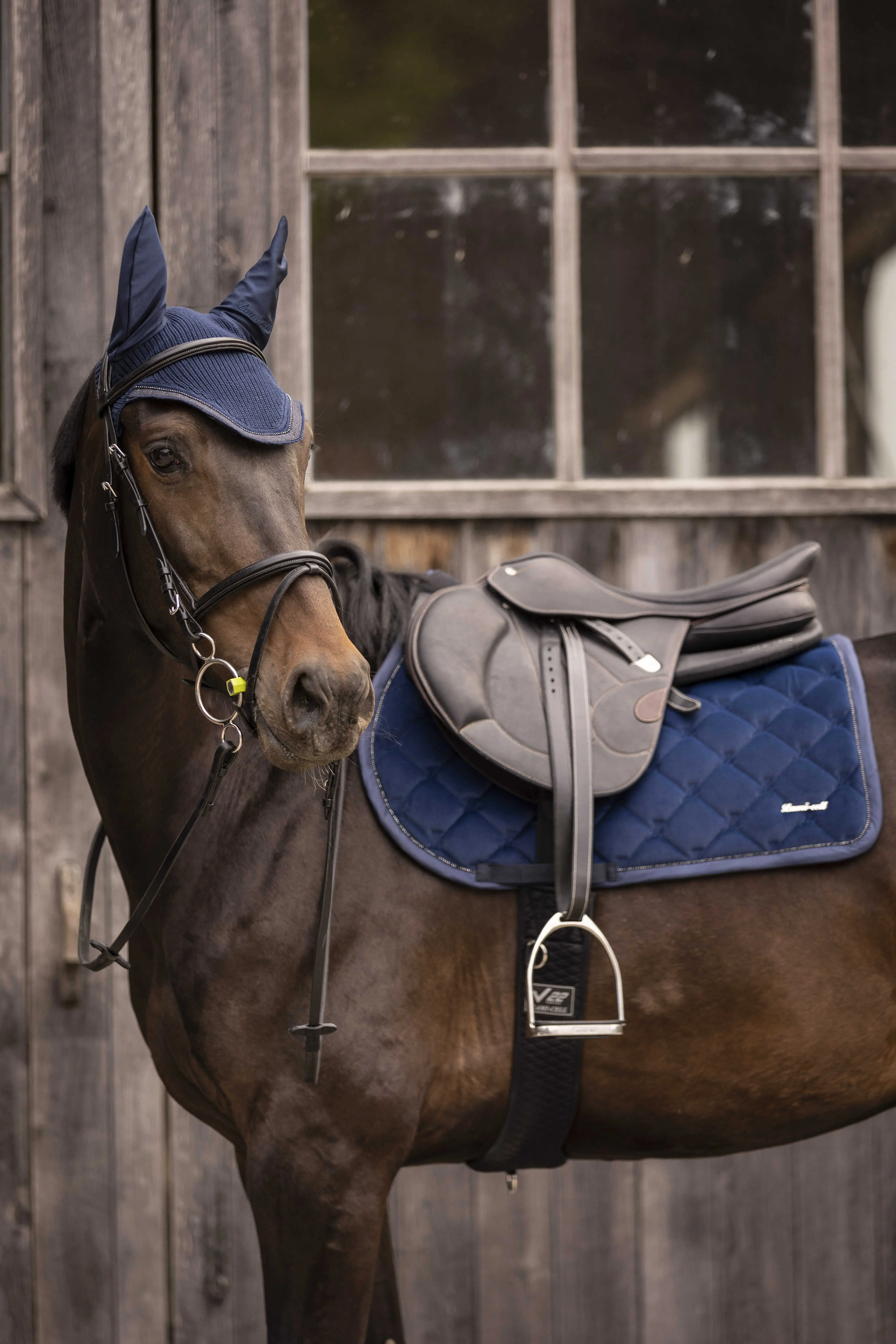Lami-Cell Galaxy Velvet Saddle Pad - Image 5