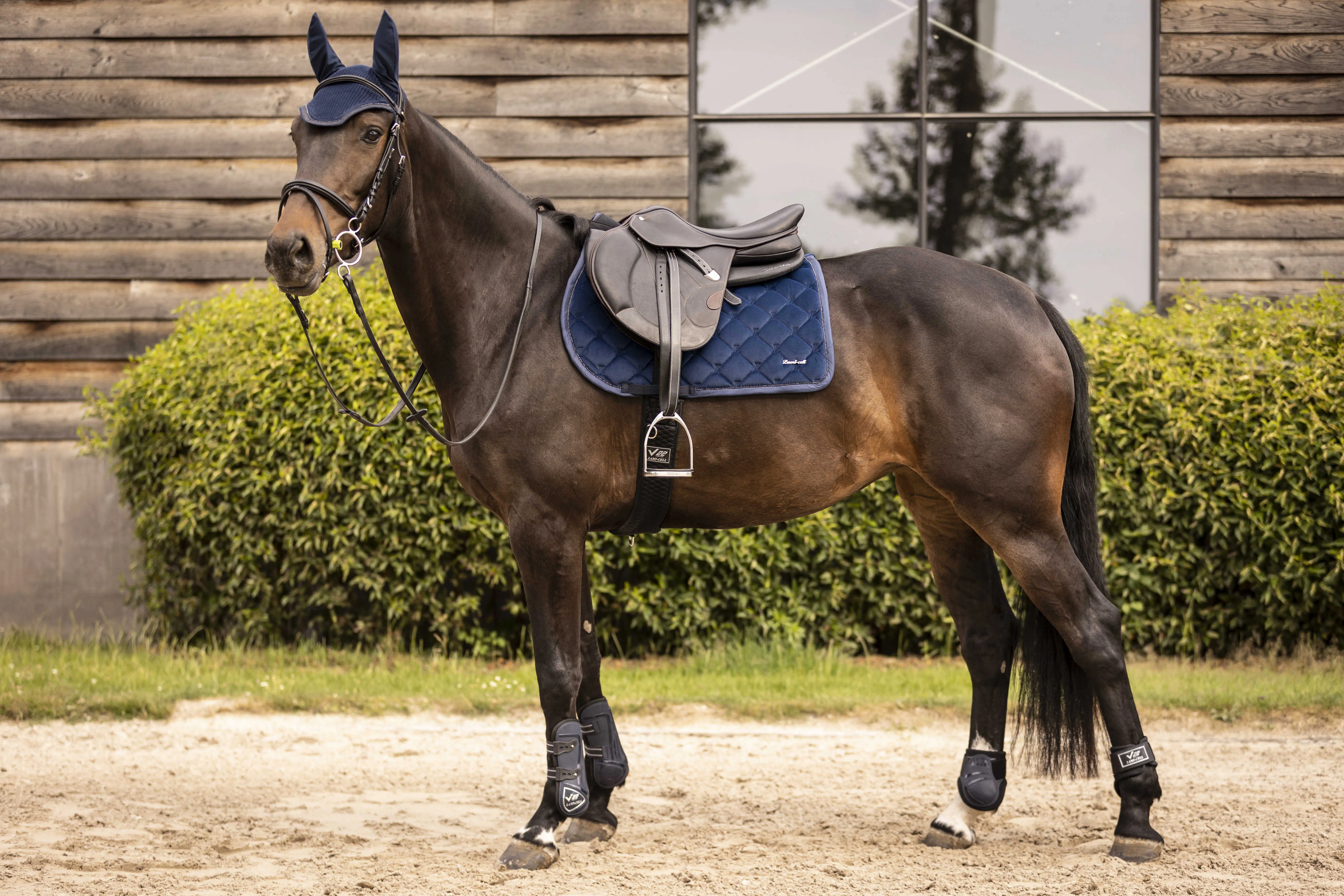 Lami-Cell Galaxy Velvet Saddle Pad - Image 8