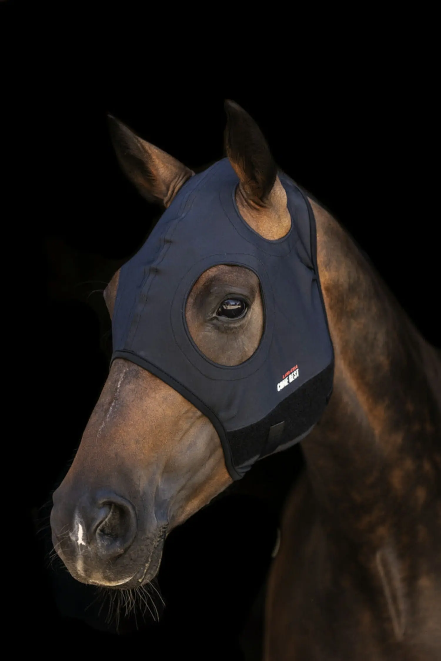 Lami-Cell Titanium Earless Hood - Image 2