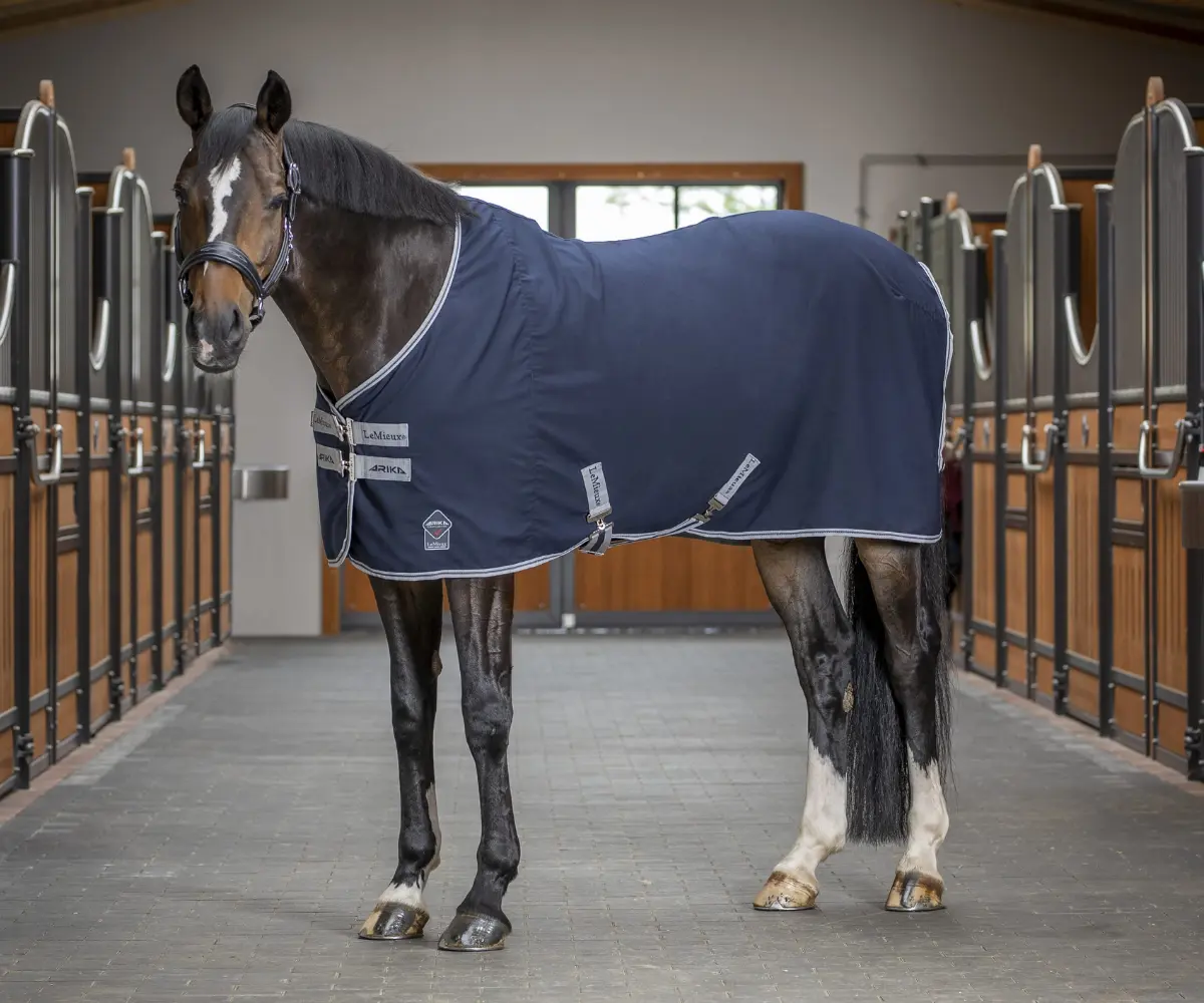 LeMieux Arika Stable Sheet - Image 4