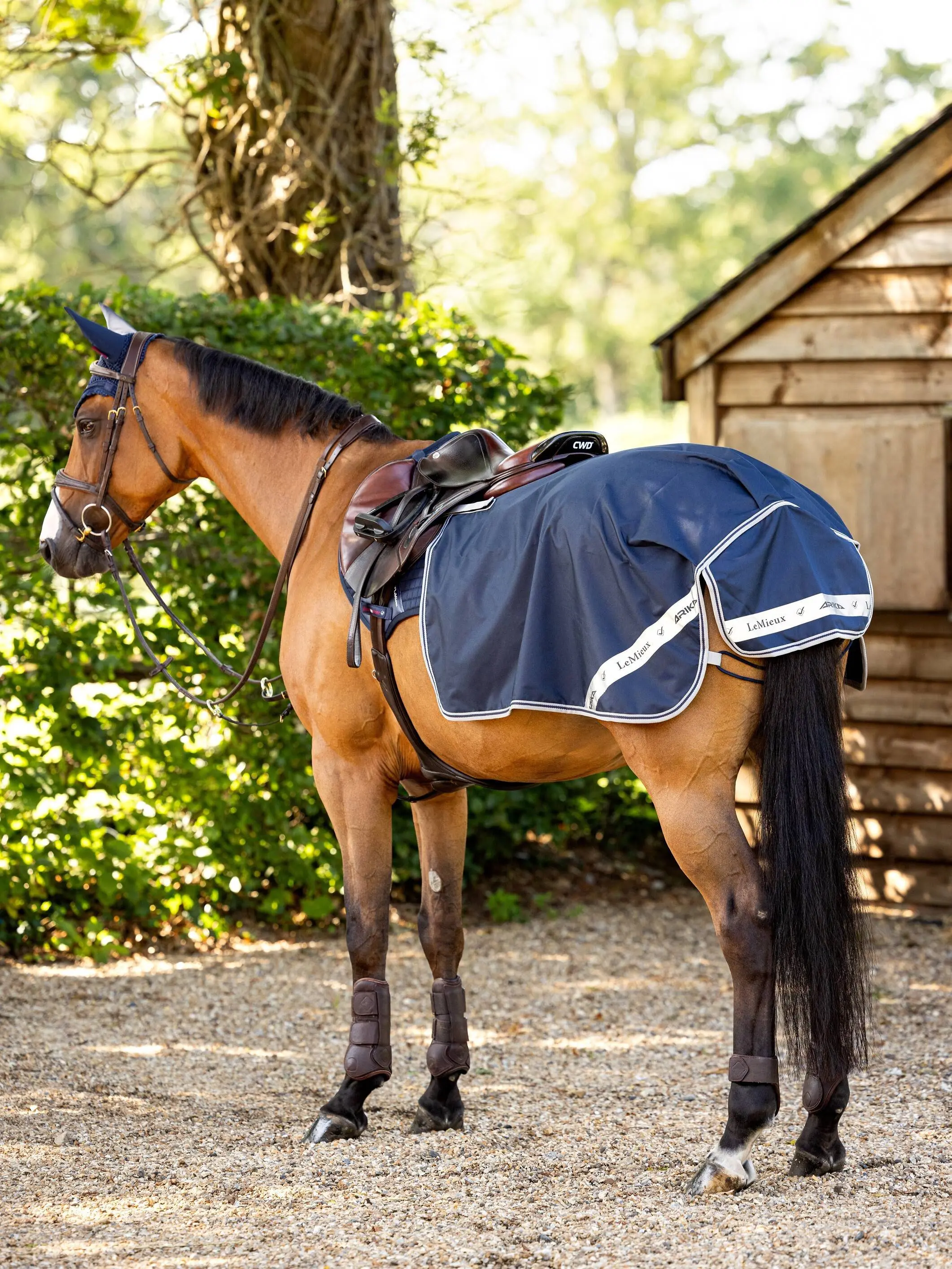 LeMieux Arika Waterproof Quarter Sheet - Image 4