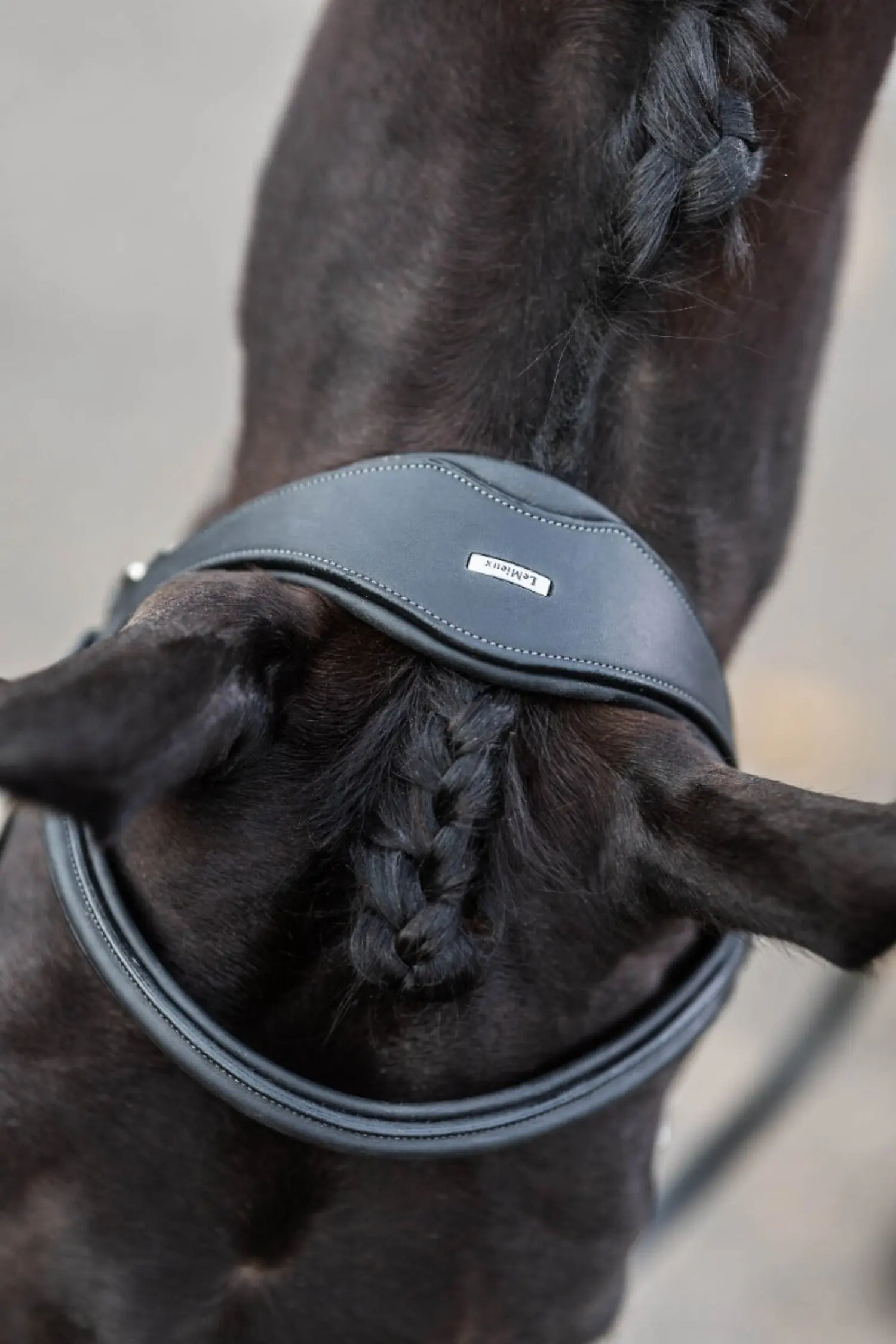 LeMieux Kudos Work Bridle - Image 3