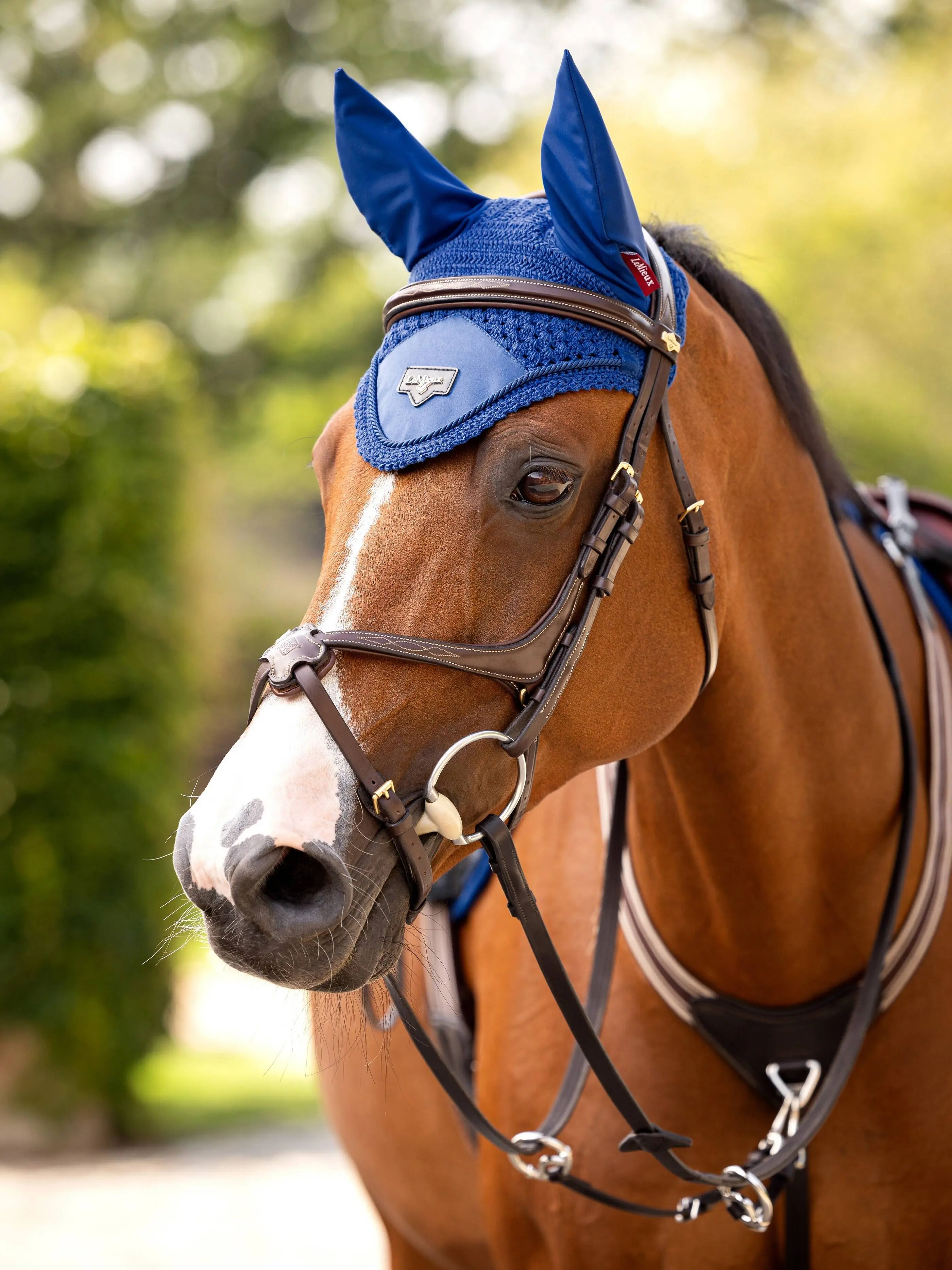 LeMieux Loire Benetton Fly Hood