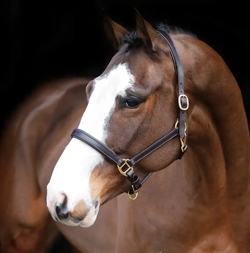 Mackey Legend Helios Leather Headcollar - Image 3