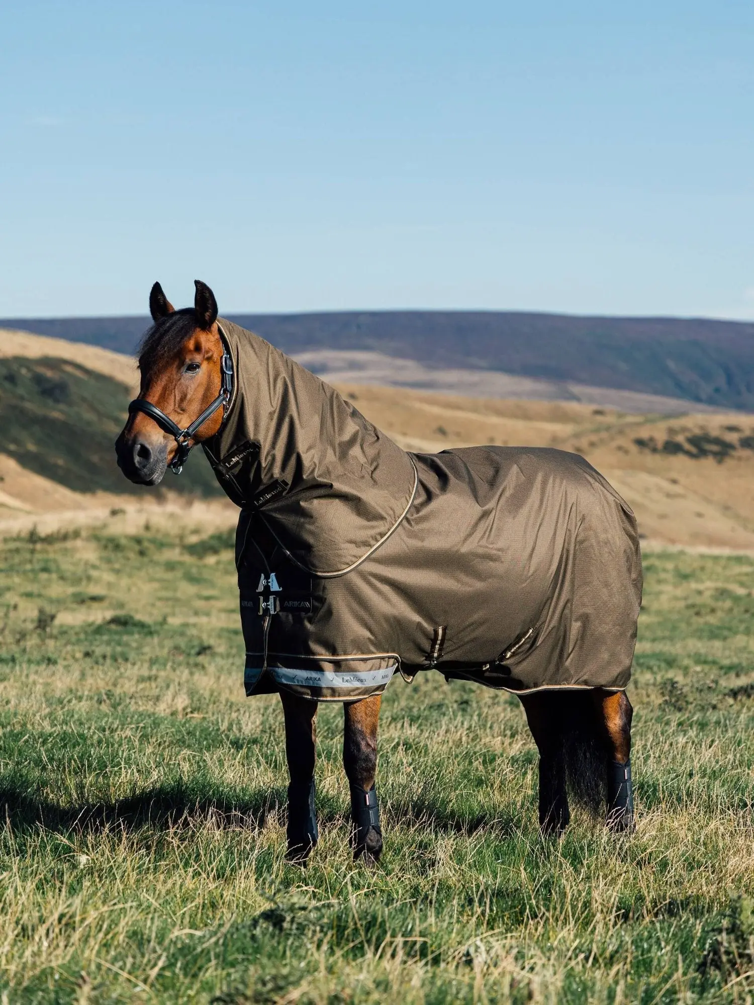 LeMieux Arika Alpine Ripstop 200g Turnout Rug - Image 2