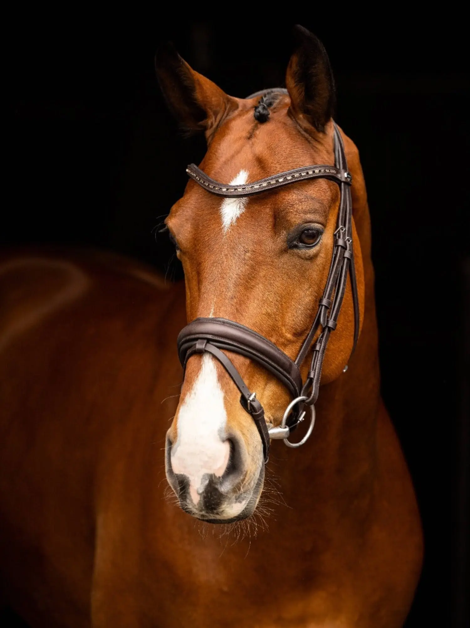 LeMieux Arika Dressage Bridle - Image 3