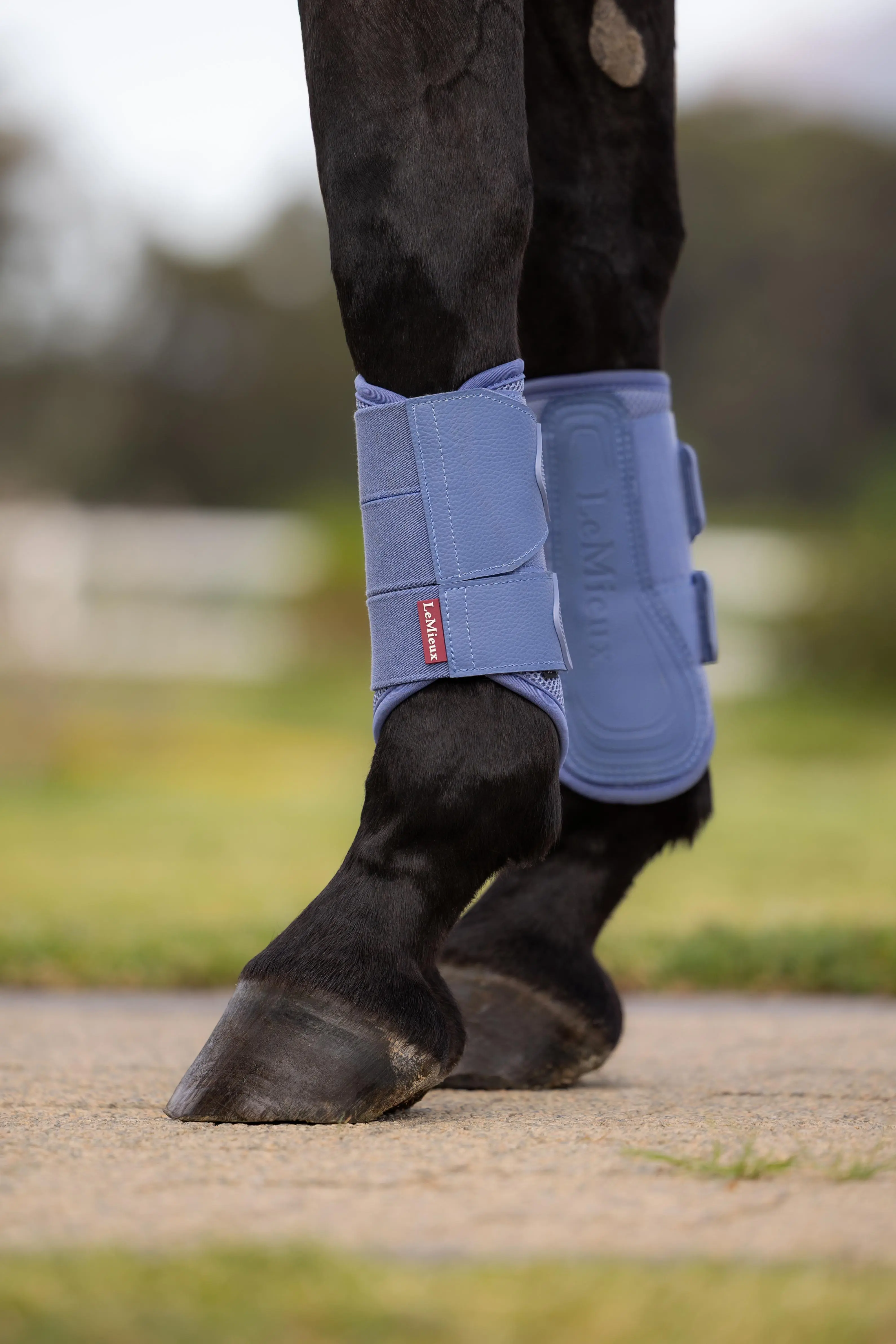 LeMieux Arika Mesh Brushing Boots Powder Blue