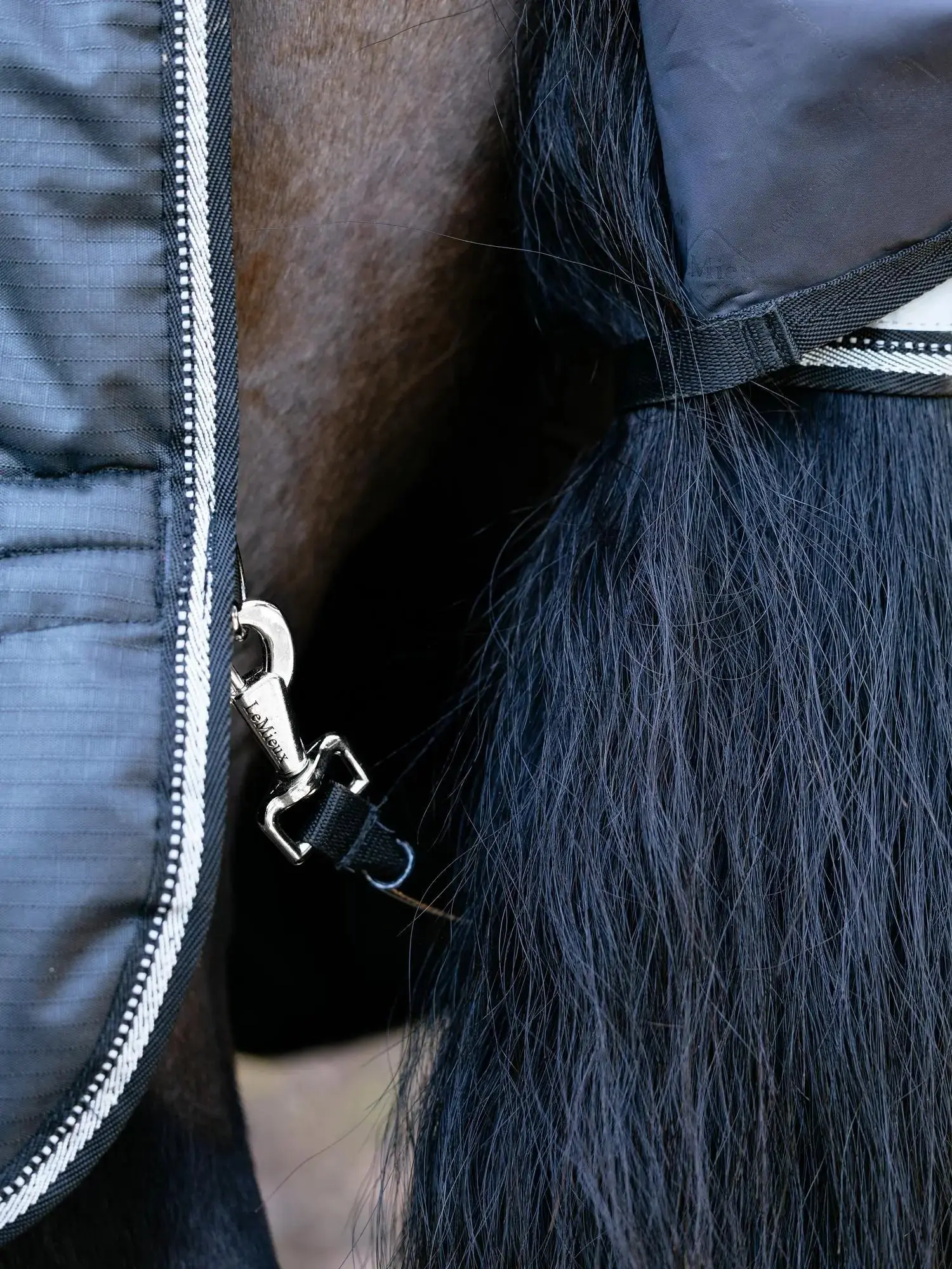 LeMieux Arika Reflective 200g Turnout Rug Black - Image 11