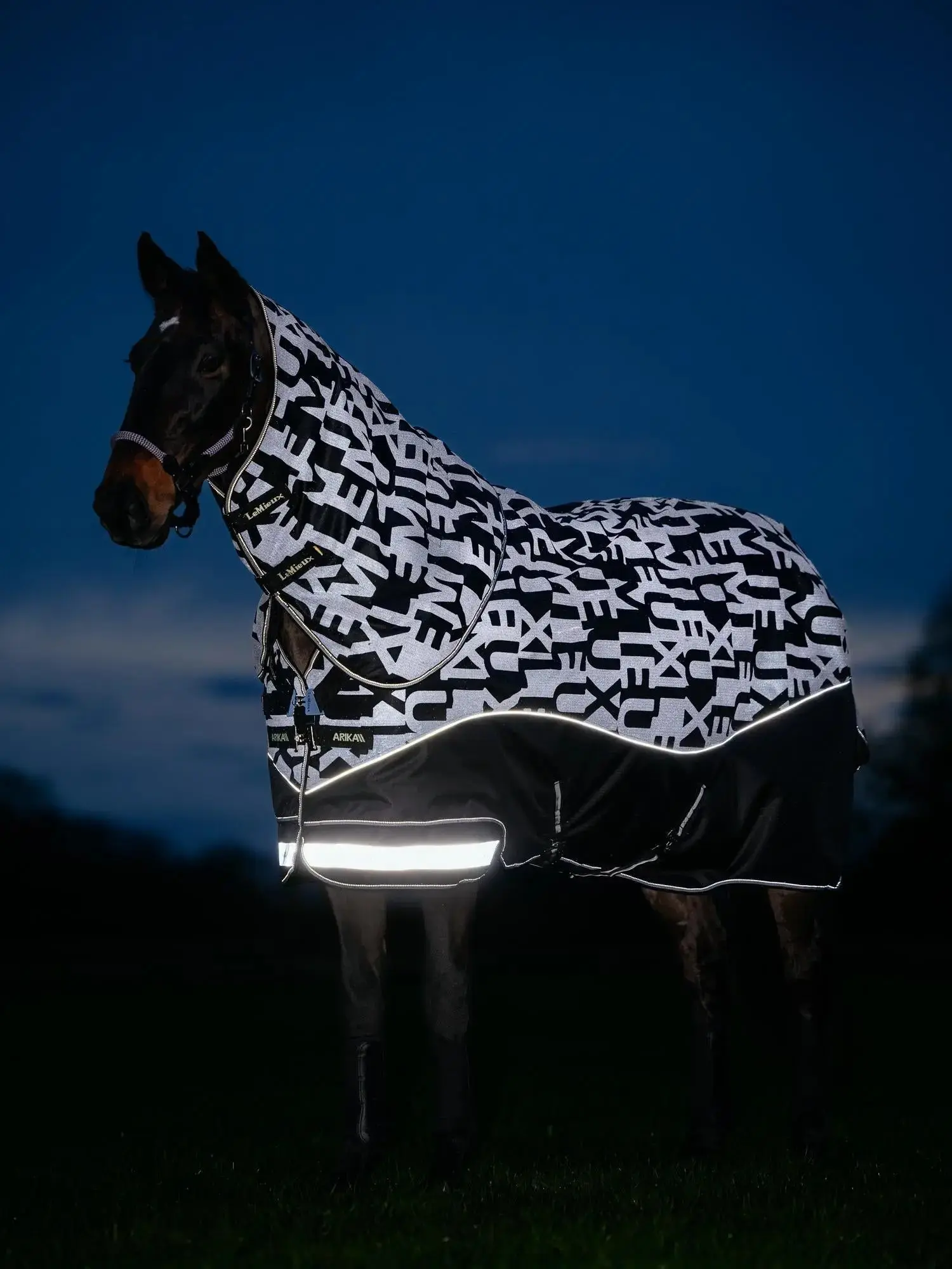 LeMieux Arika Reflective 0g Turnout Rug Black - Image 6