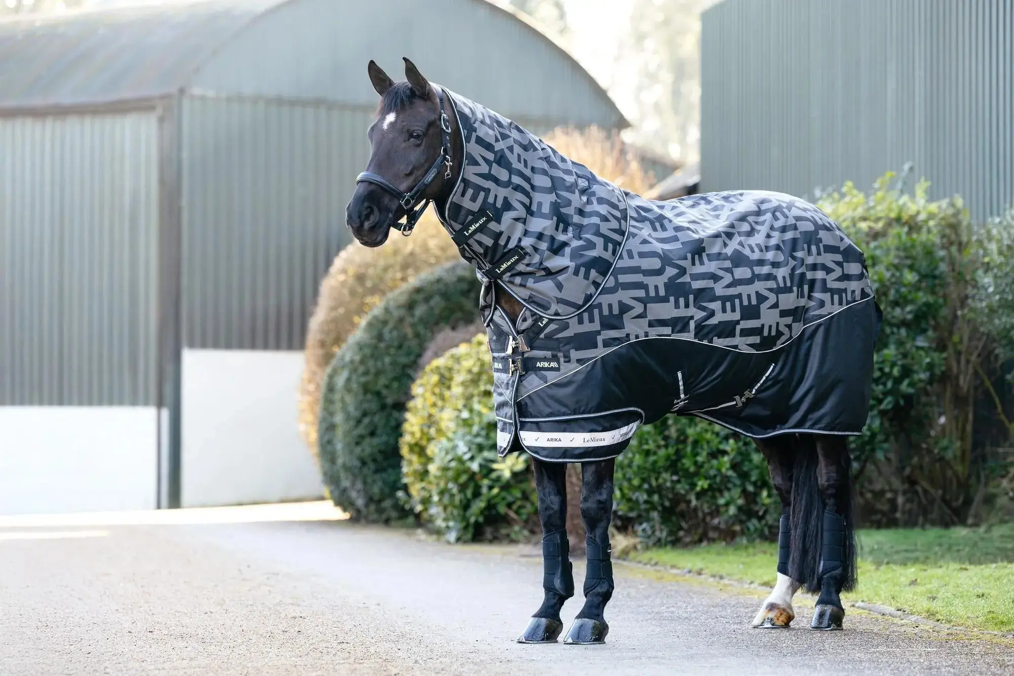 LeMieux Arika Reflective 200g Turnout Rug Black - Image 7
