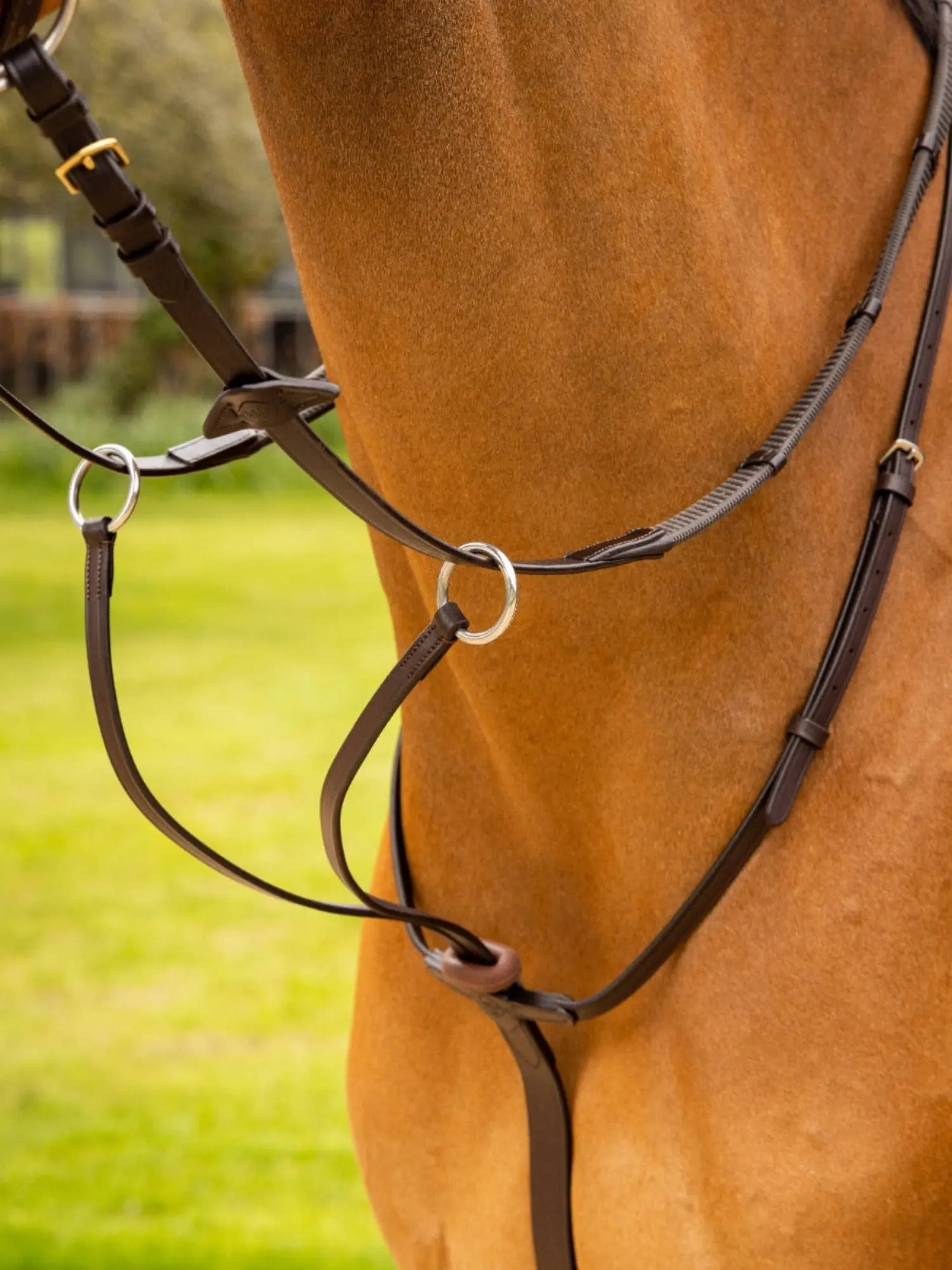 LeMieux Arika Running Martingale - Image 3
