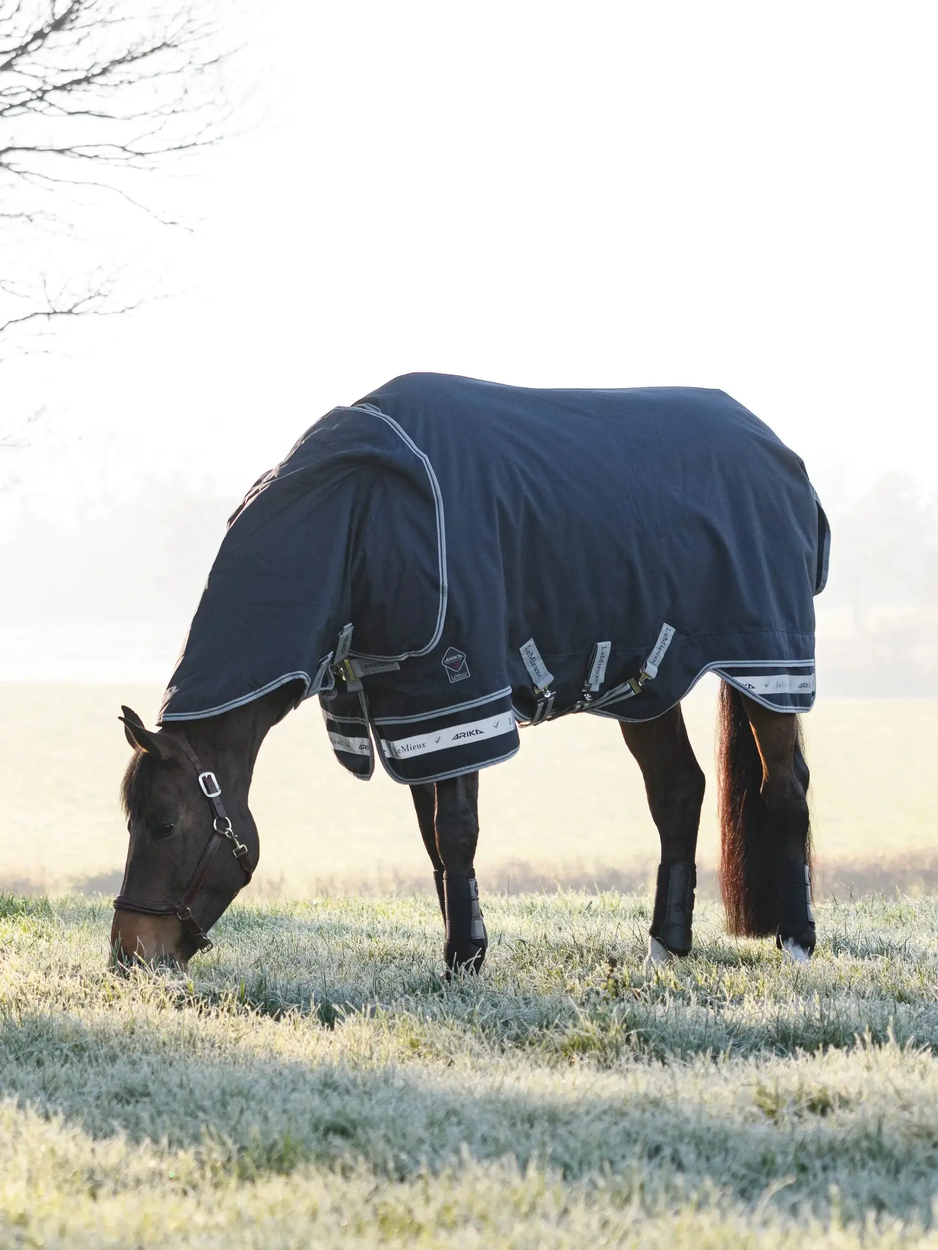 LeMieux 100g Arika Storm-Tek Rug Navy - Image 3