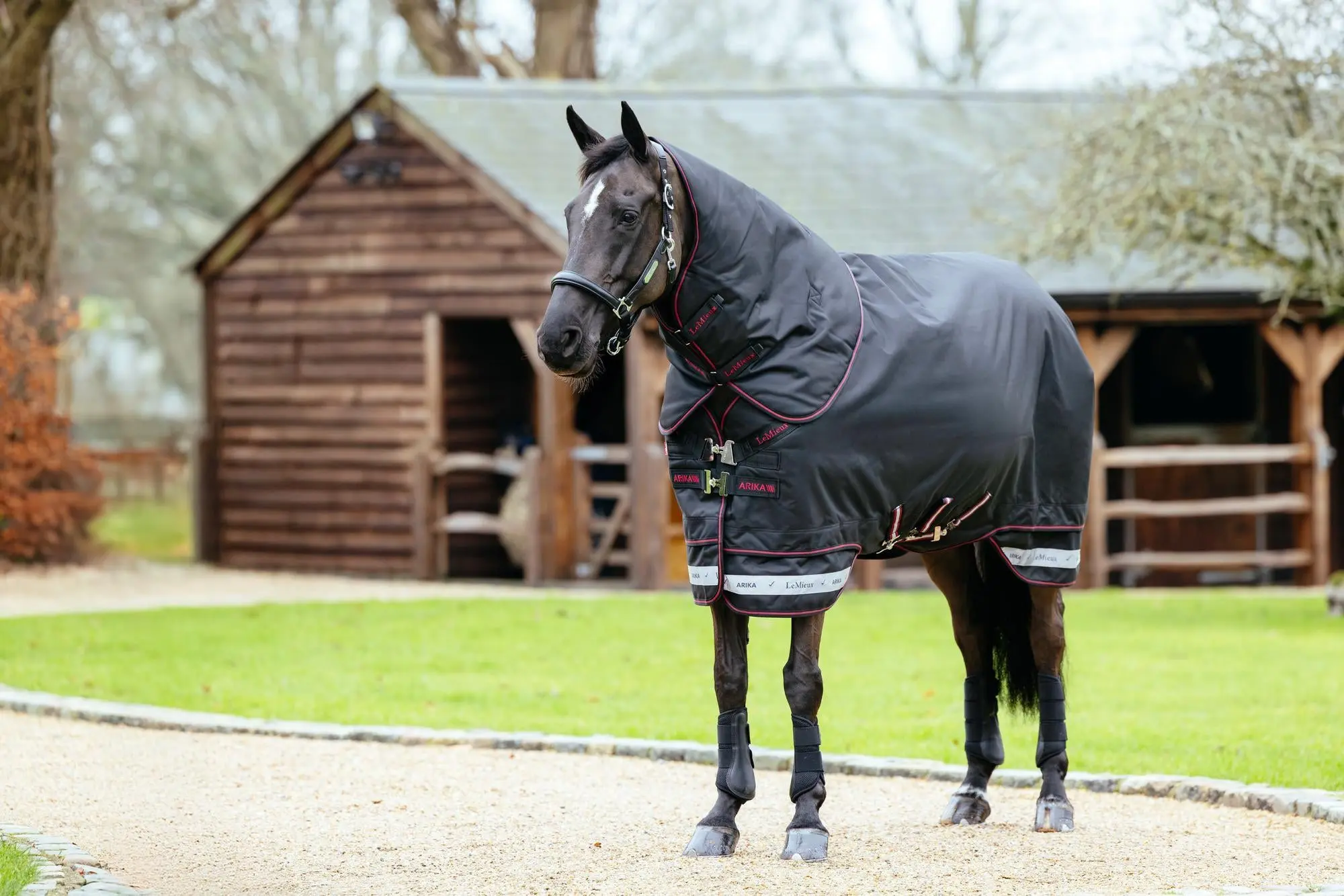 LeMieux Arika Storm-Tek Rug 50g Black