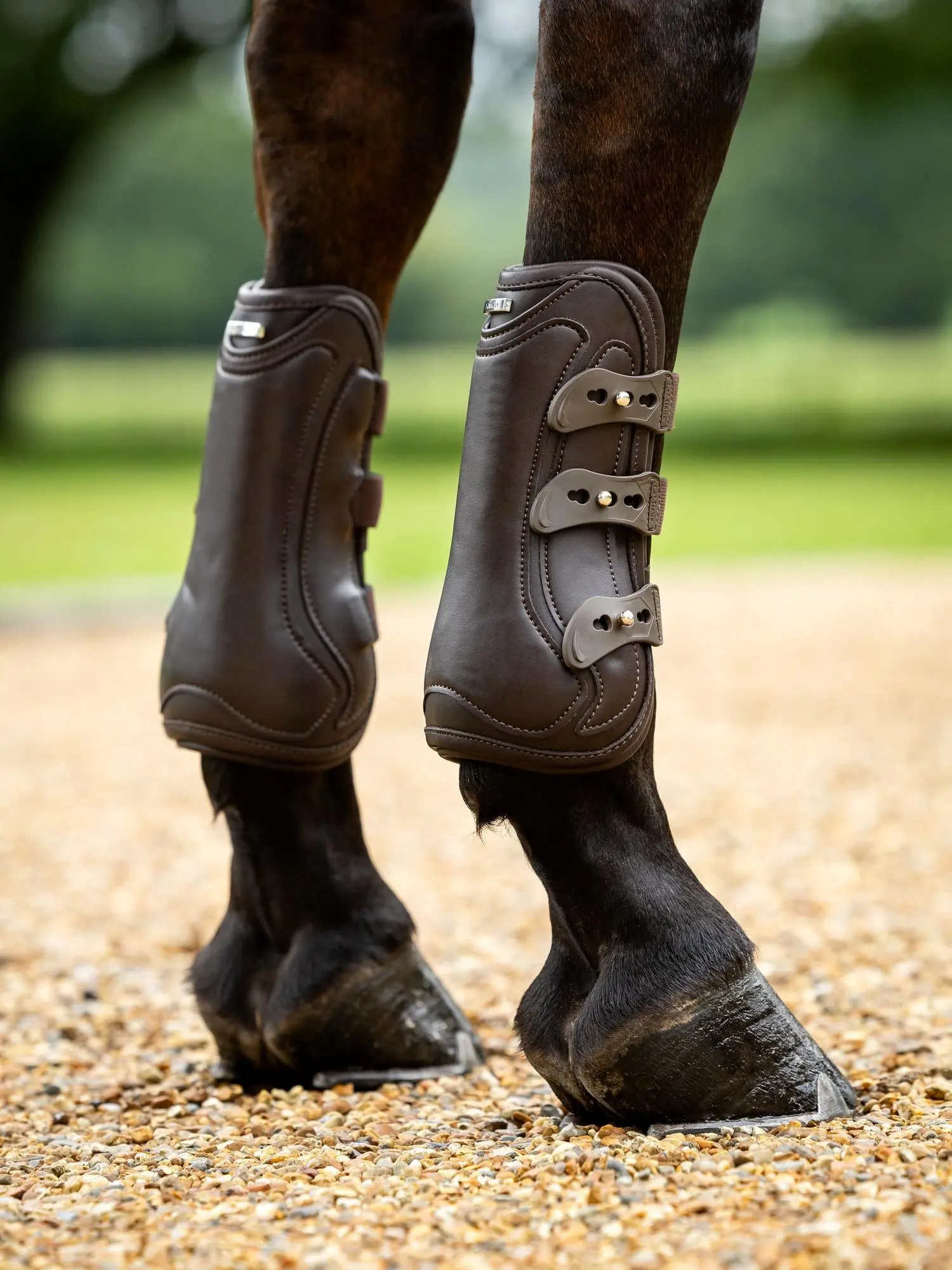 LeMieux Capella 3 Strap Tendon Boots Brown - Image 2