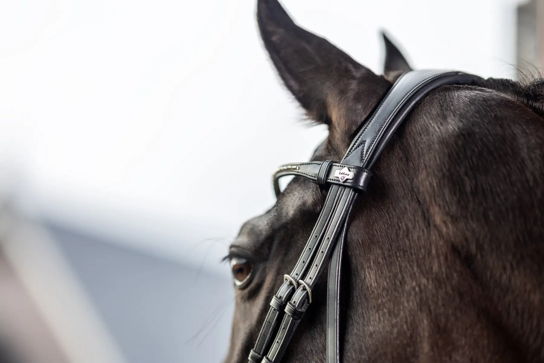 LeMieux Classic Dressage Bridle - Image 8