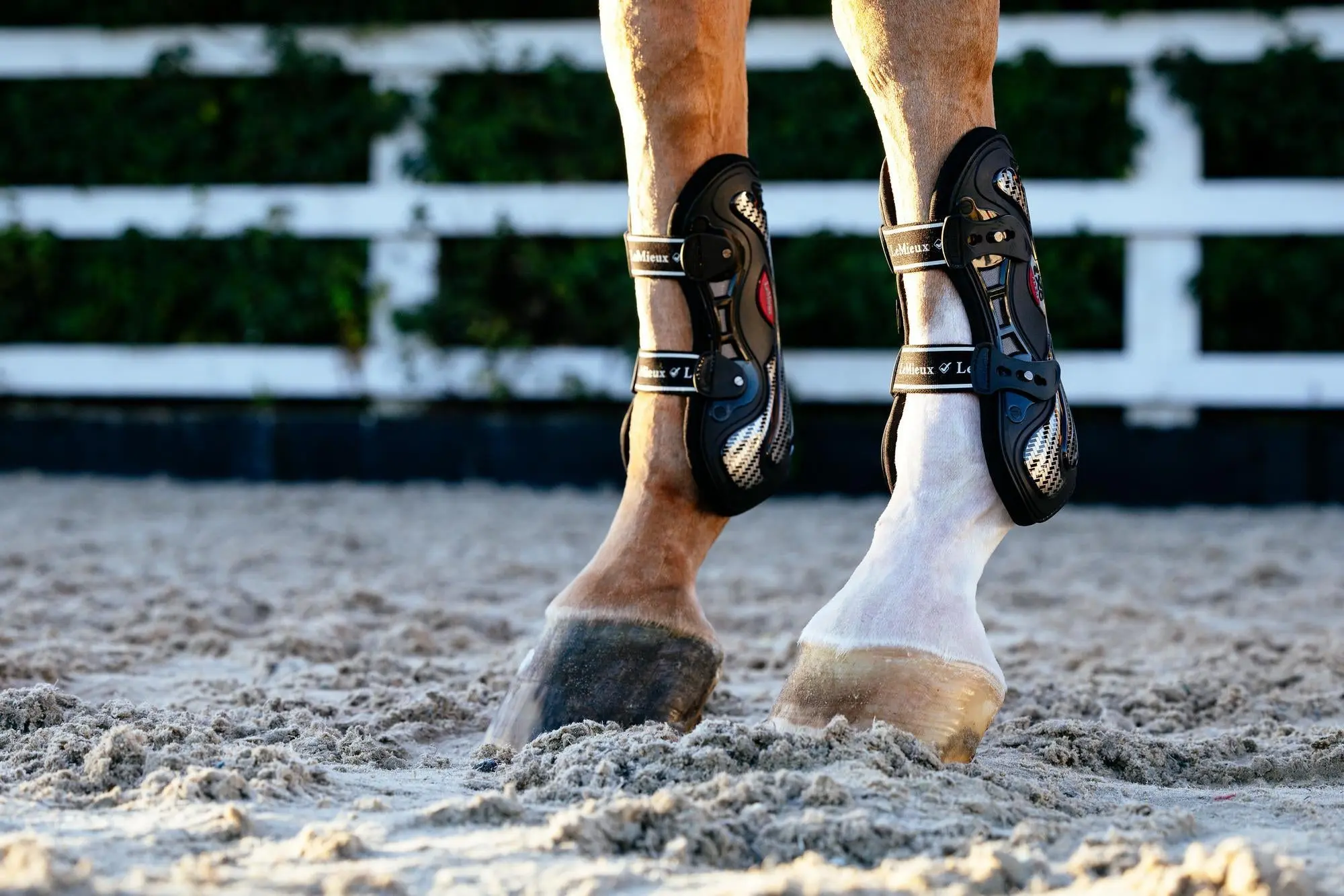 LeMieux Exo-Flex® Tendon Boot Black/Silver - Image 6