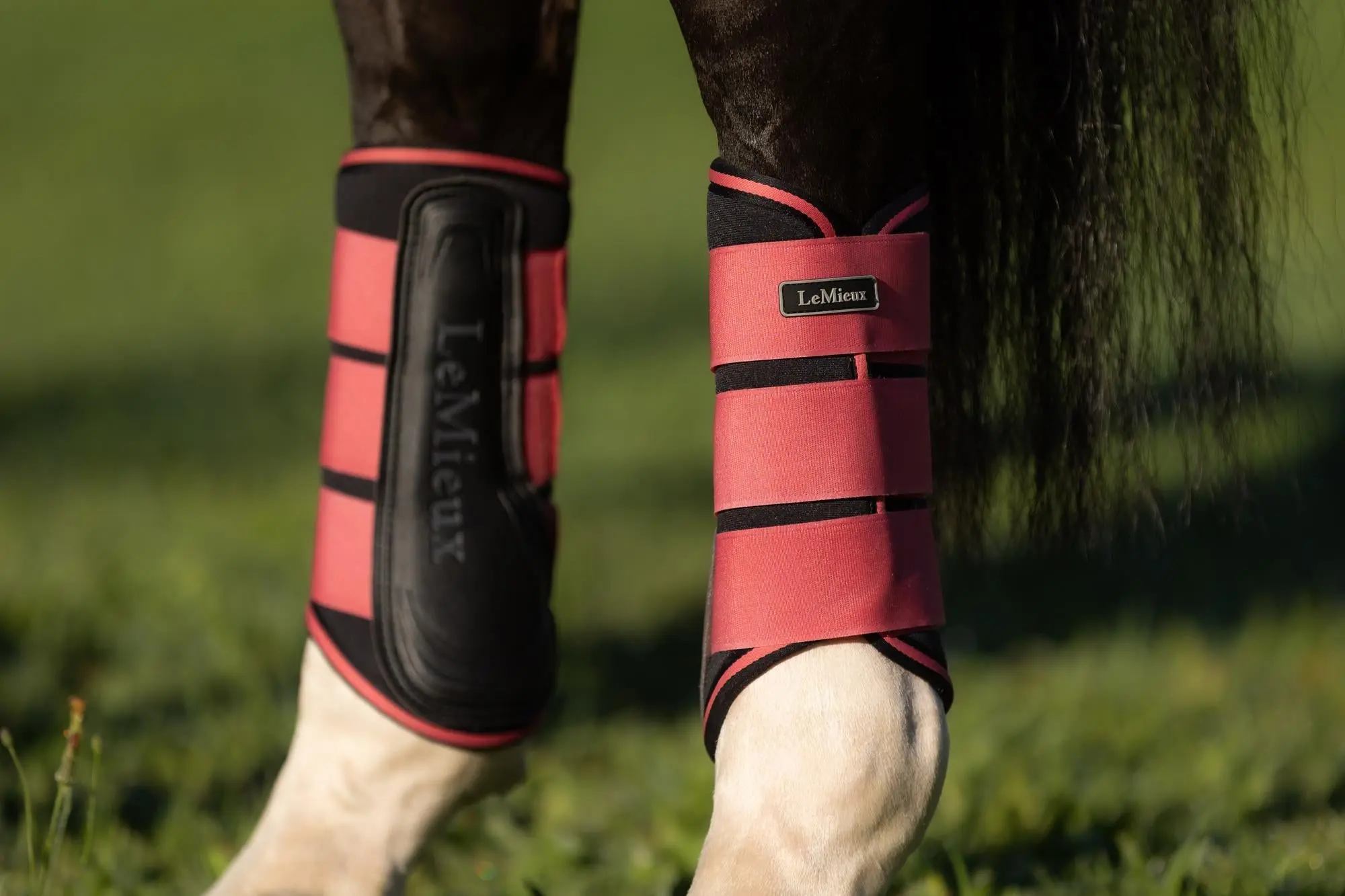 LeMieux Grafter Brushing Boots Cranberry - Image 8