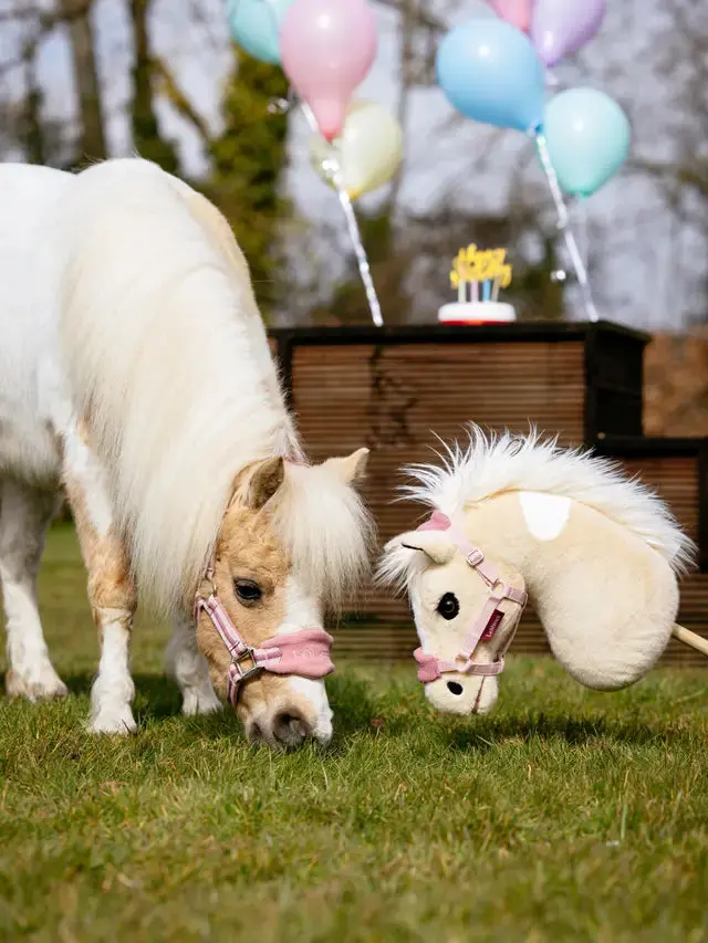 LeMieux Hobby Horse Lemon - Image 3