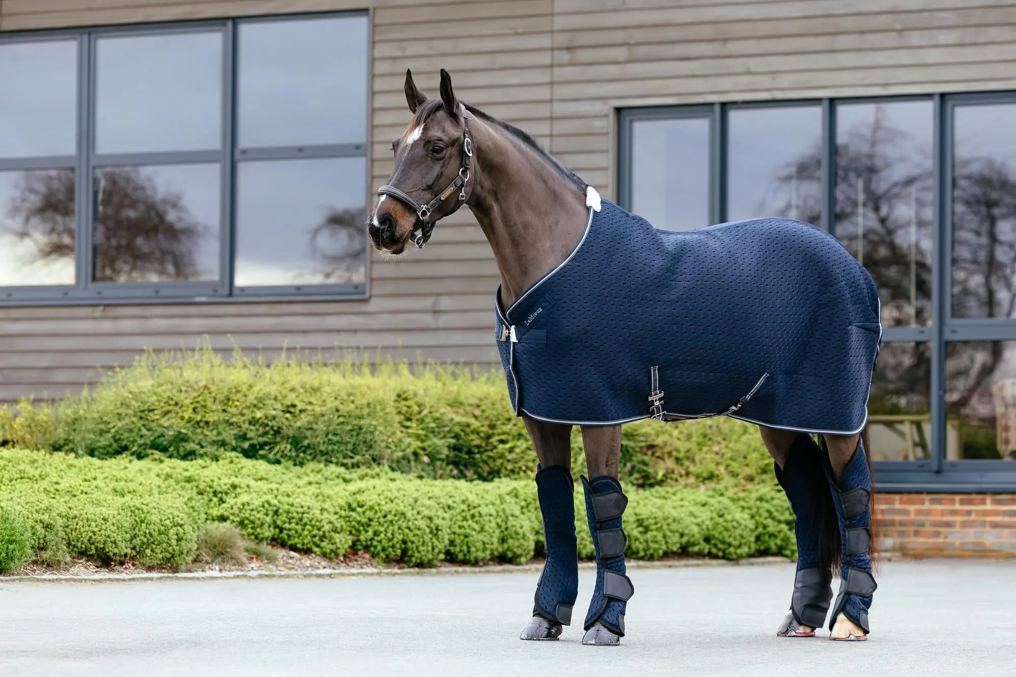 LeMieux Kudos 3D Mesh Travel Rug Navy - Image 2