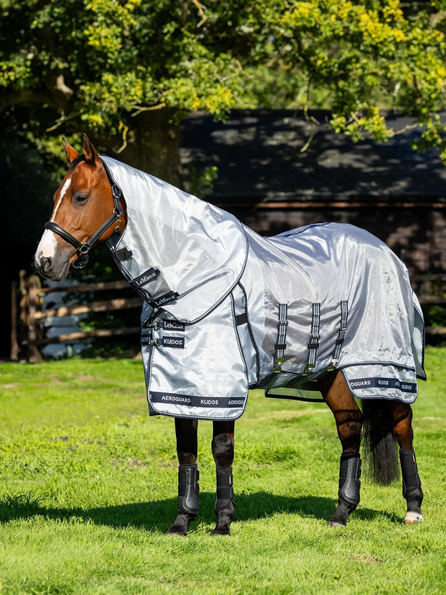 LeMieux Kudos AeroGuard Fly Rug Silver - Image 2