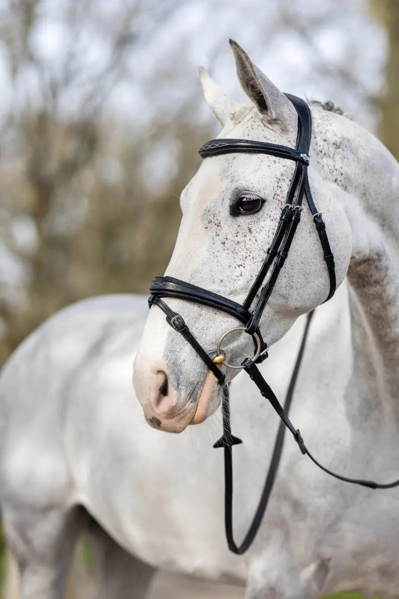 LeMieux Kudos Competition Black Flash Bridle - Image 4
