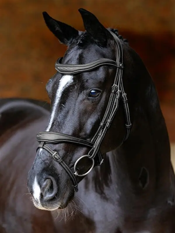 LeMieux Kudos Contour Flash Bridle Black