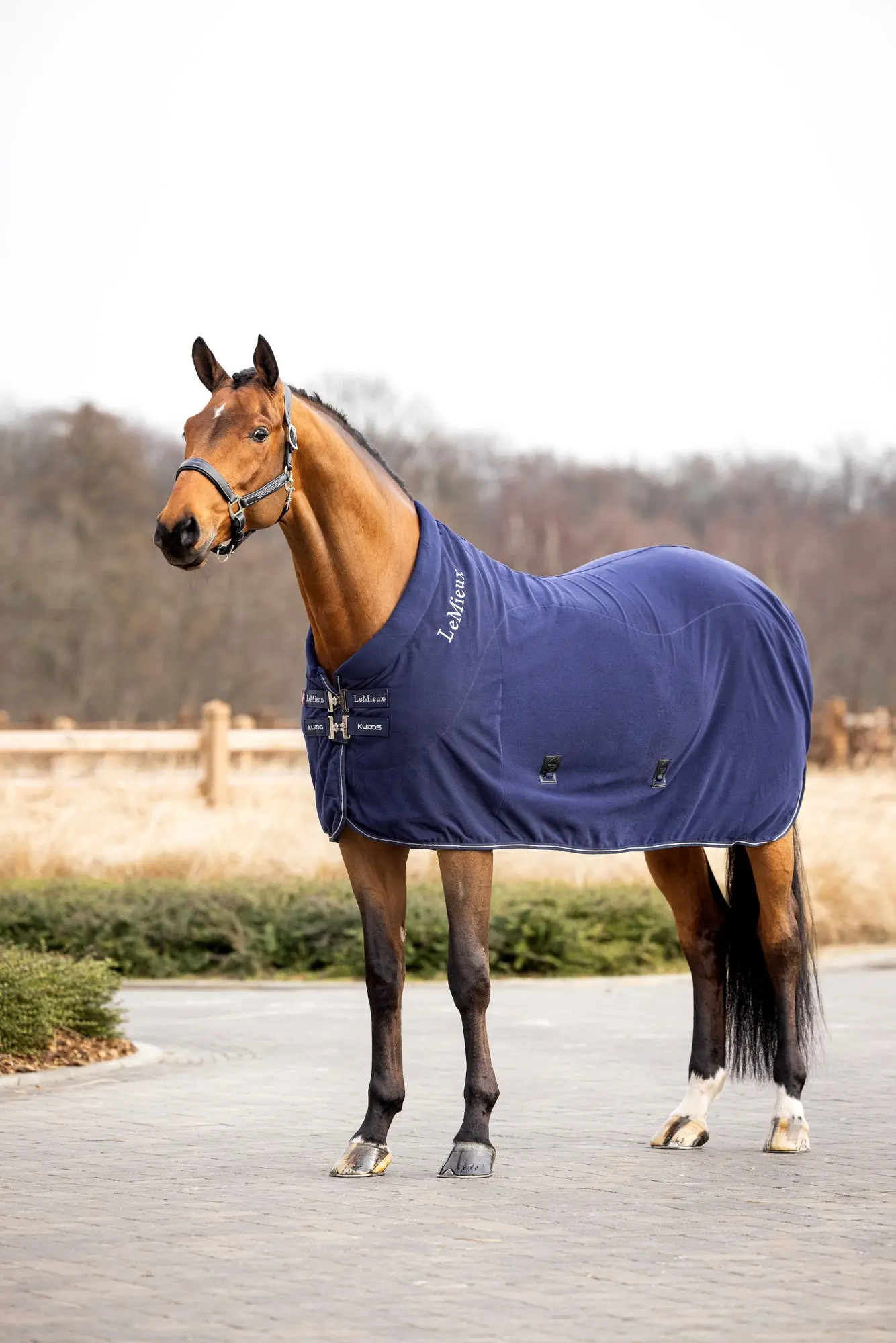 LeMieux Kudos Fleece Cooler Rug Navy - Image 2