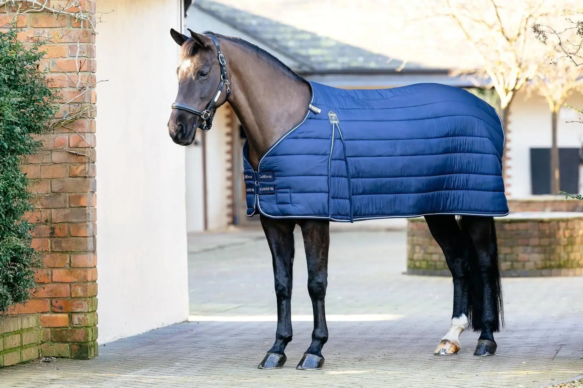 LeMieux Kudos Rug Liner 350g Navy - Image 8