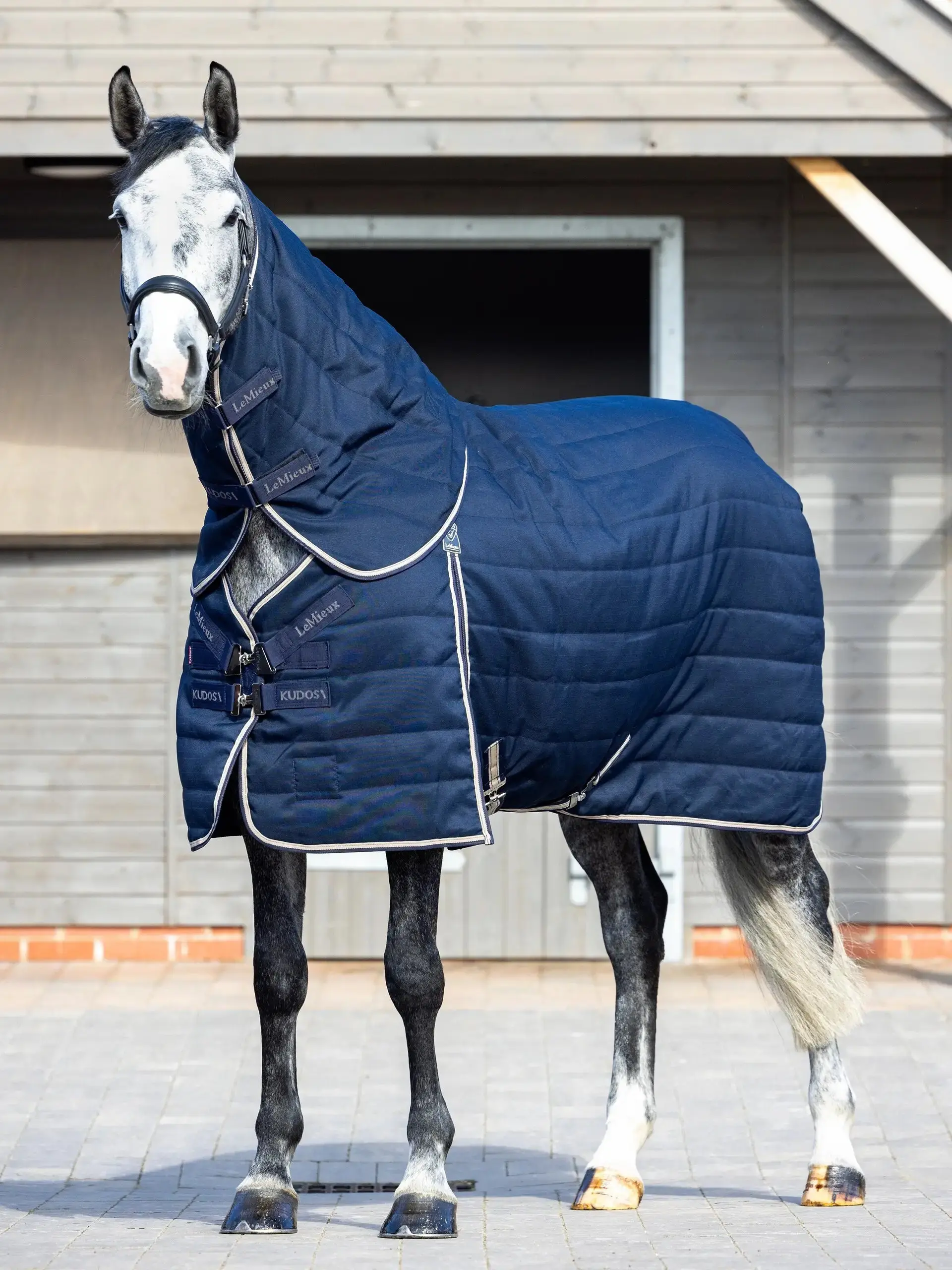 LeMieux 50g Kudos Stable Neck Cover Navy - Image 2