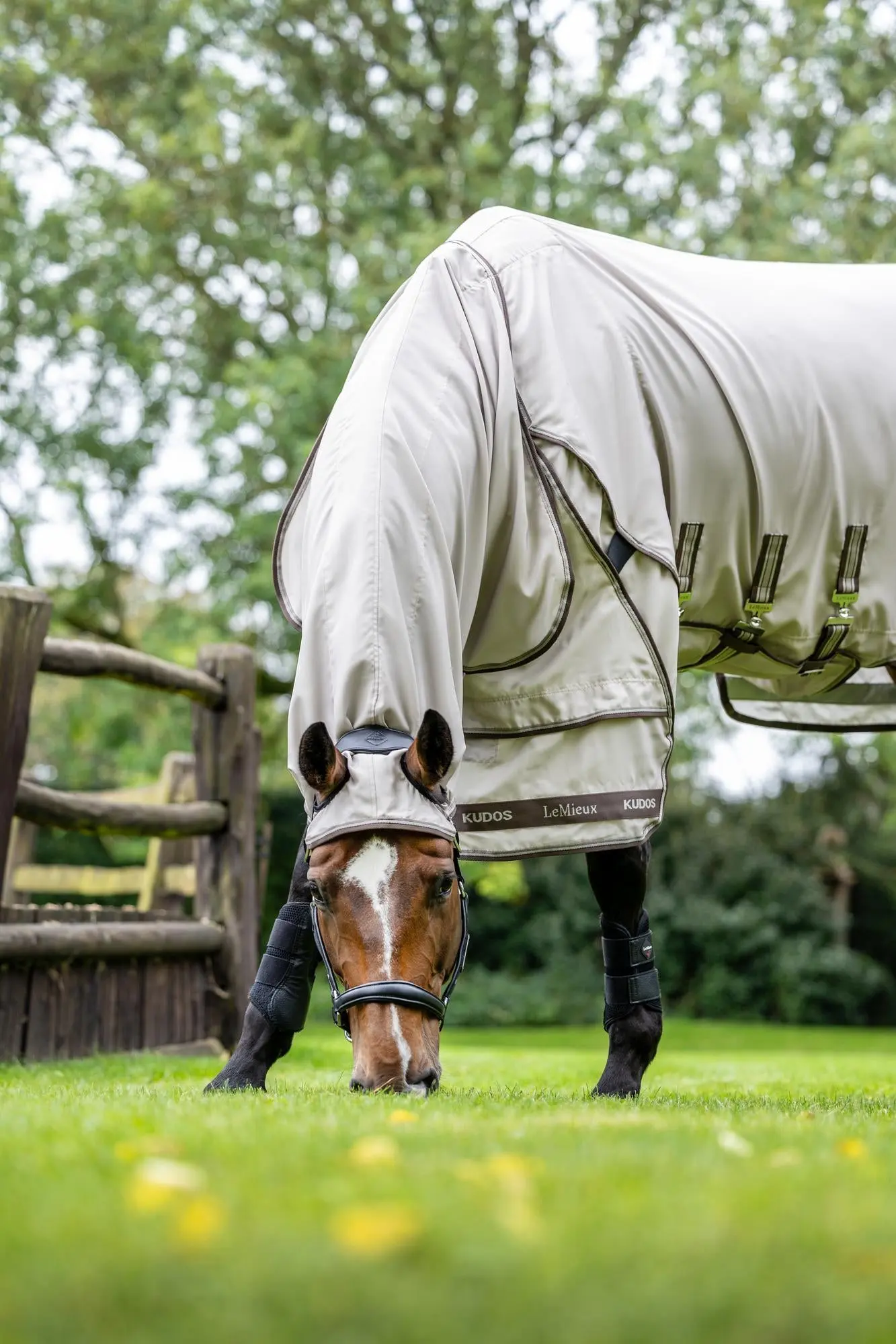 LeMieux Kudos Sweet Itch Rug Stone - Image 7