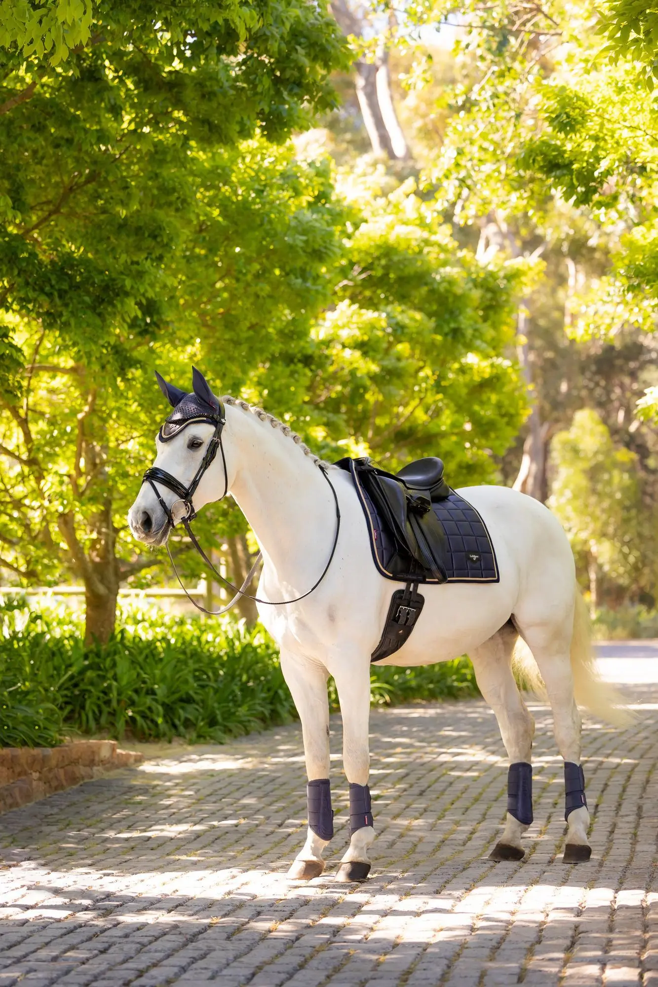 LeMieux Loire Classic Dressage Square Dusk Blue - Large - Image 17